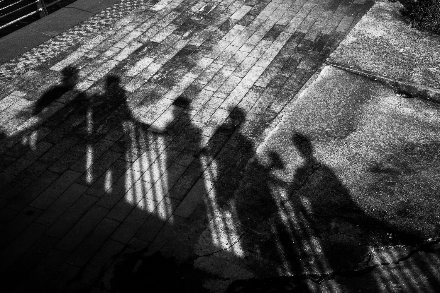 Photographers - Sep 2022 (S14634)