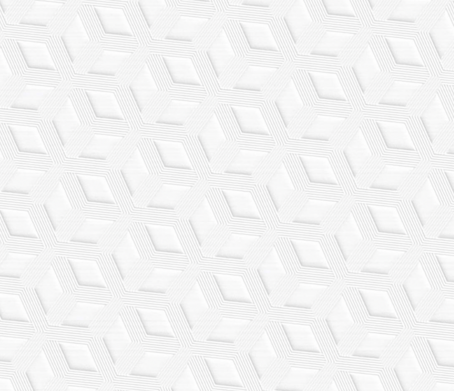 Screen Shot 2021-12-21 at 12.02.32 PM.png