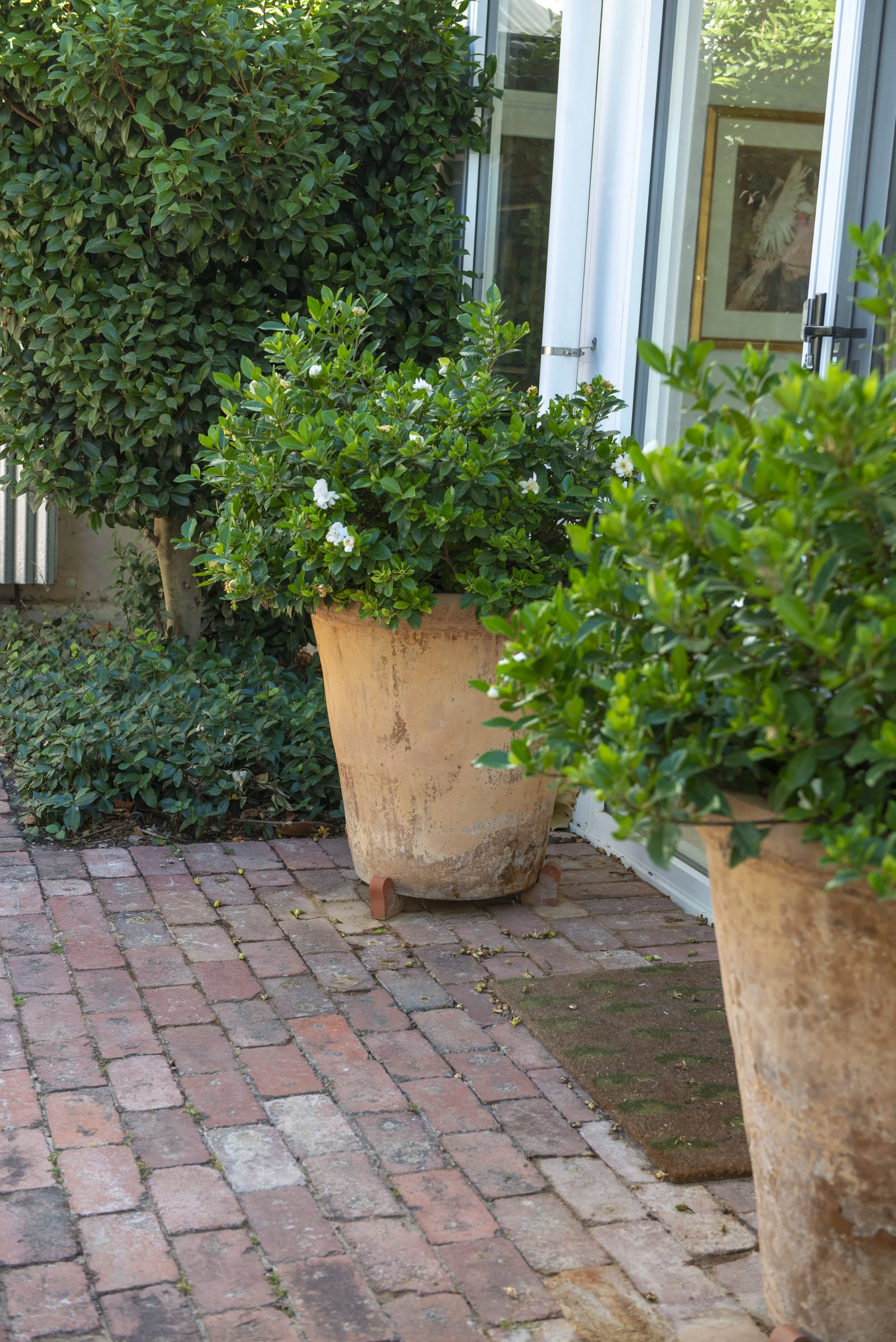 nMagies House-1520.jpg