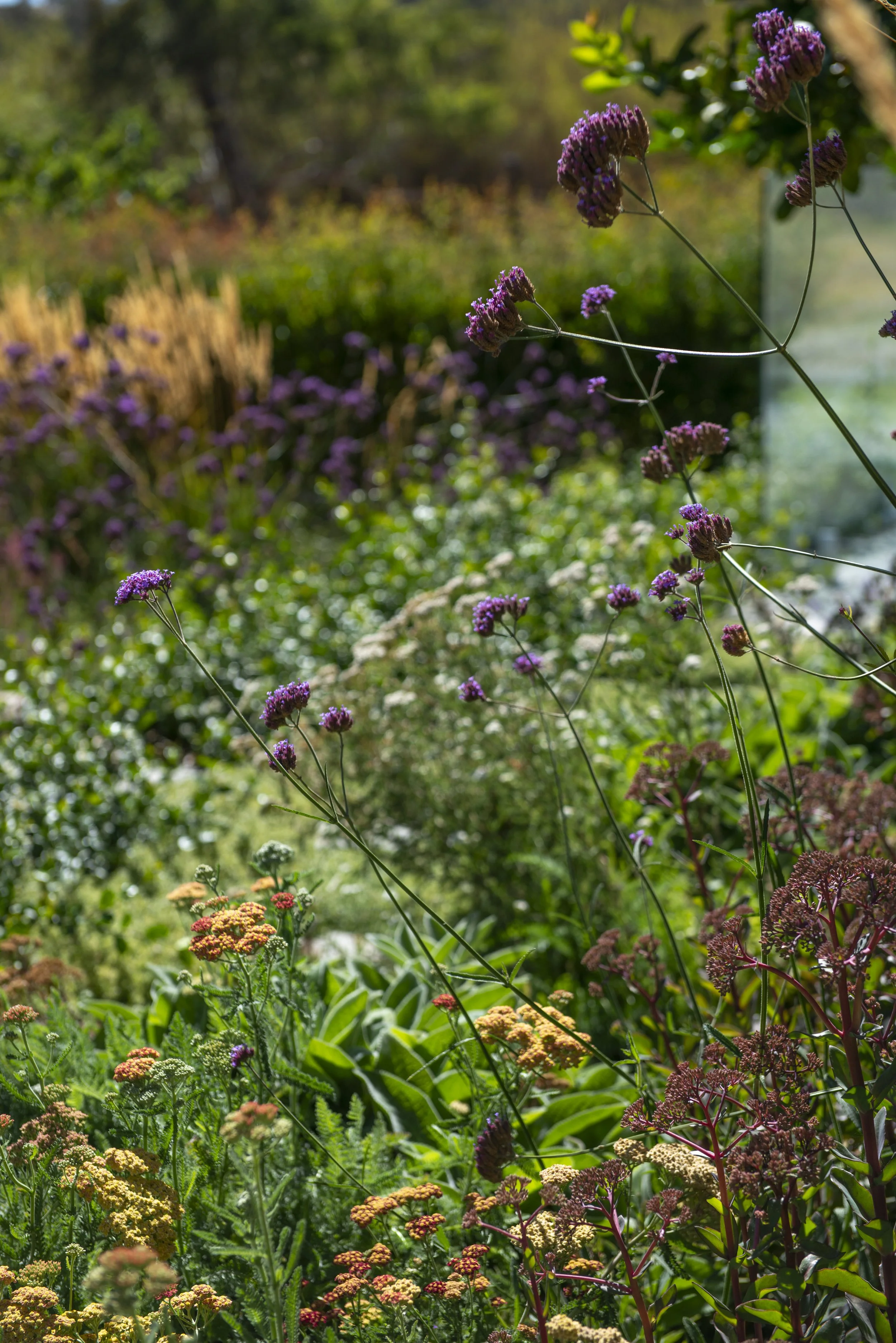 Magies House-1562.jpg