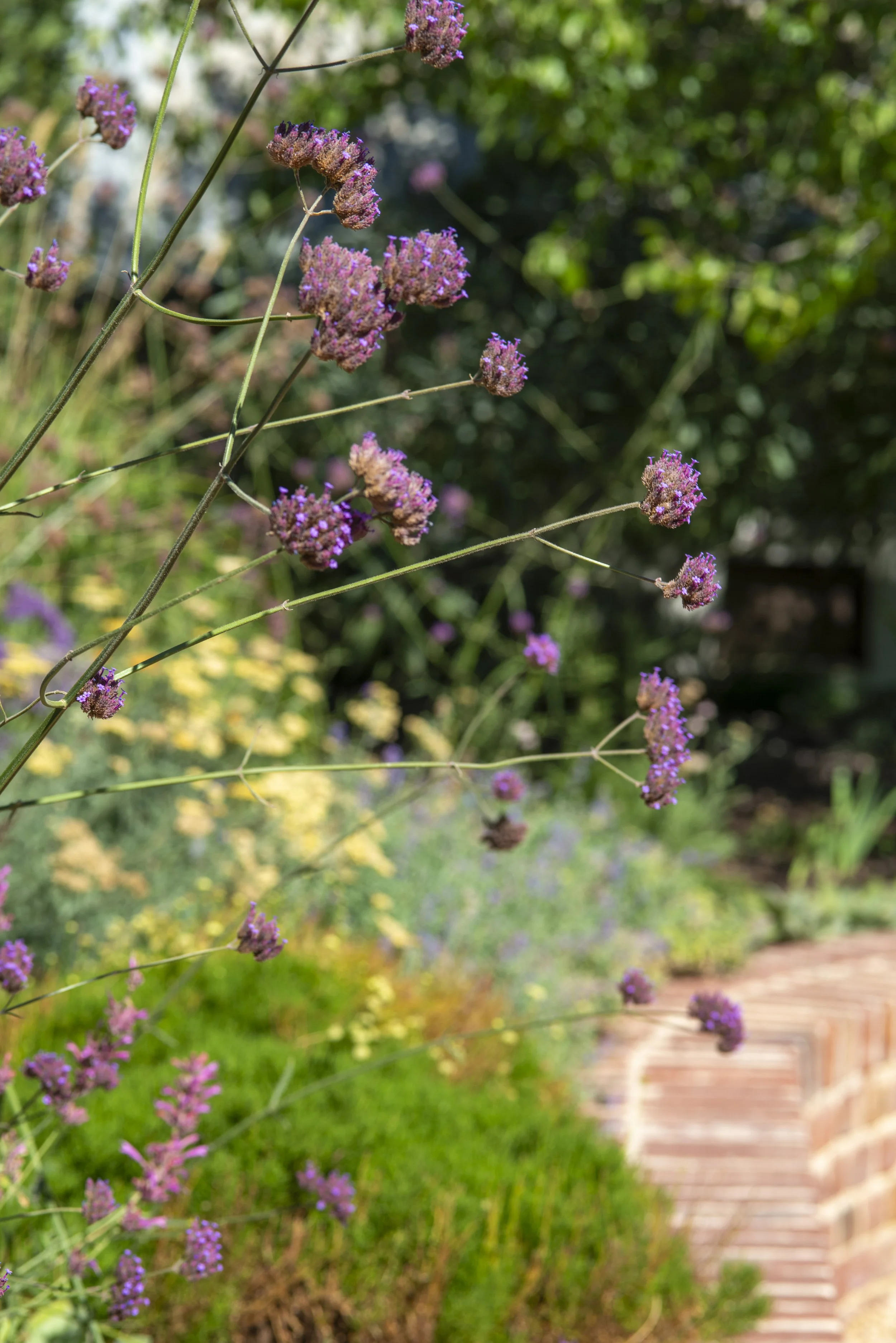 nMagies House-1529.jpg