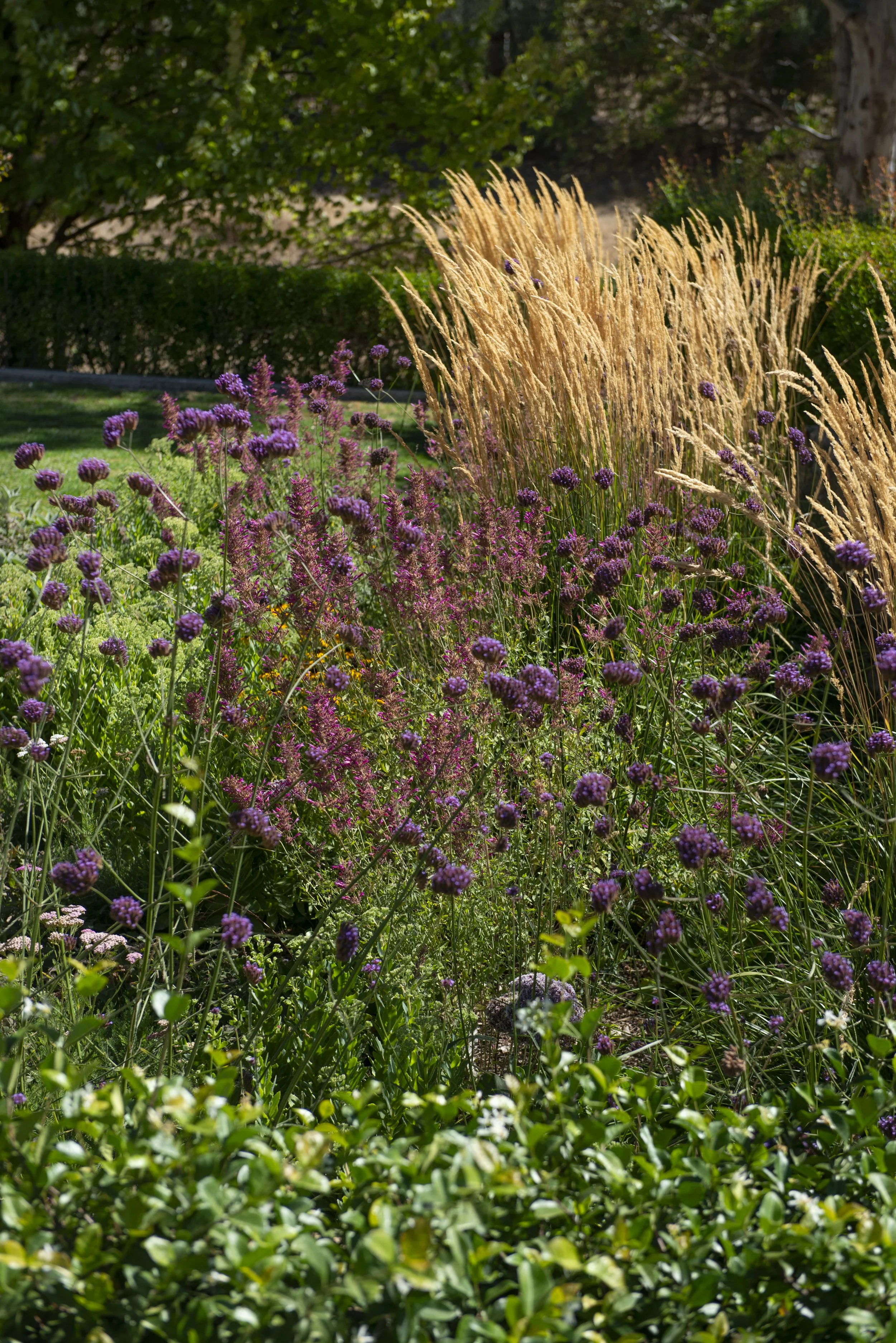 Magies House-1573.jpg