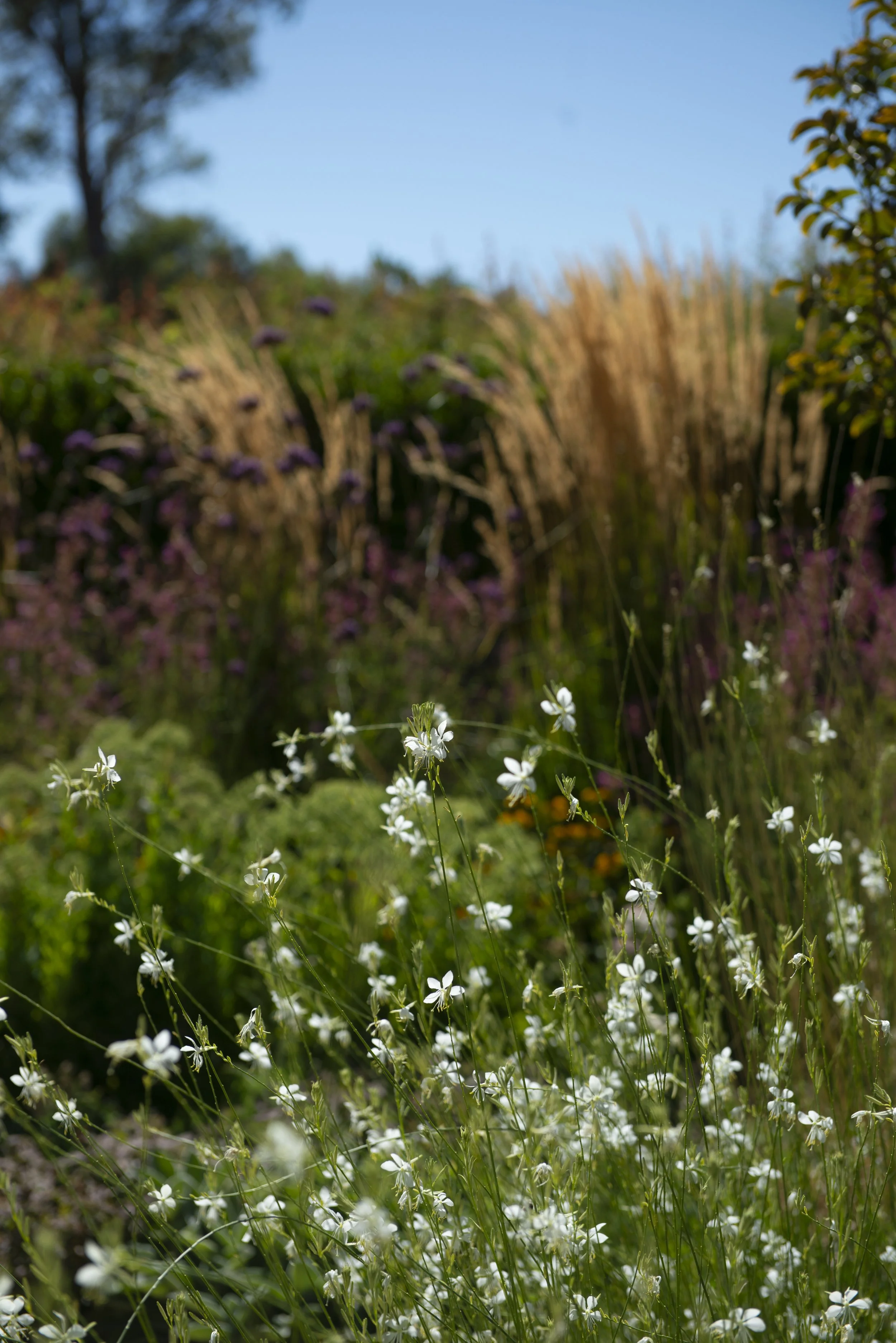 Magies House-1571.jpg