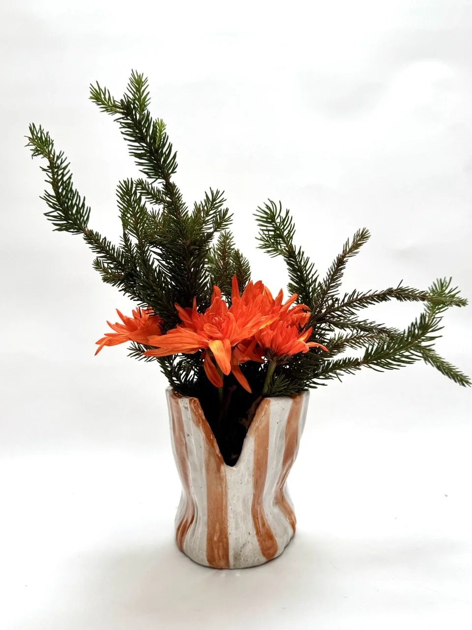 short Copper:white1.jpeg