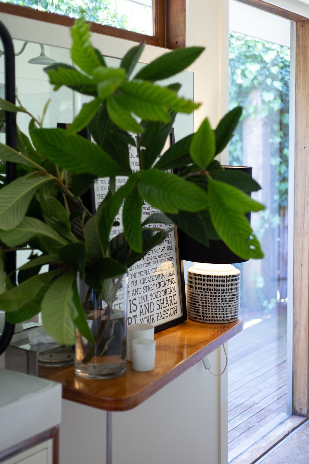 Indoor scene with a large leafy green plant in a glass container, framed text art, a black lampshade, a decorative white and black cylindrical object, a wooden surface, and a window with a view of greenery outside.