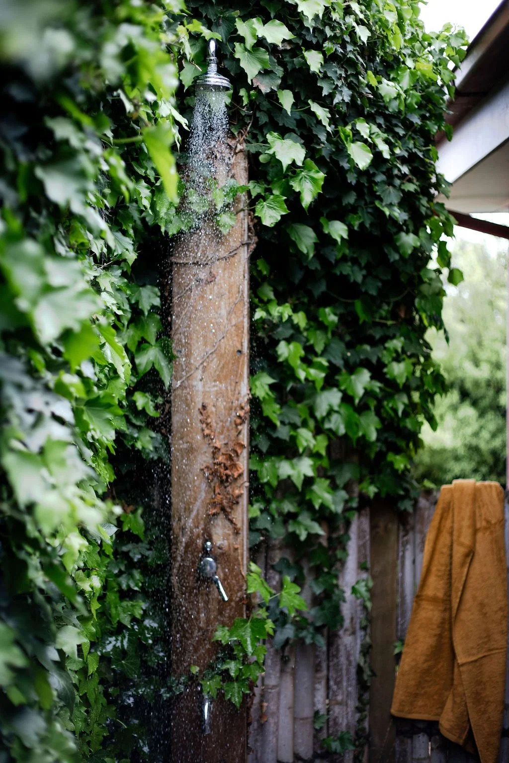 An outdoor shower mounted on a wooden pole, surrounded by lush green ivy, with a yellow towel hanging nearby.