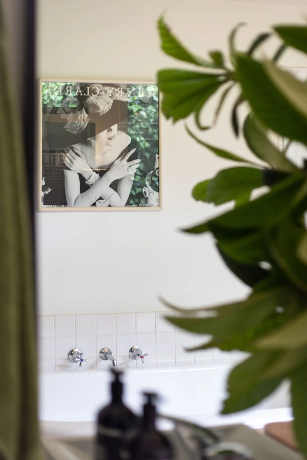 A blurred view of a bathroom with a framed black-and-white photograph of a woman, seen through a bathroom mirror or window, with green plants partially obscuring the view.