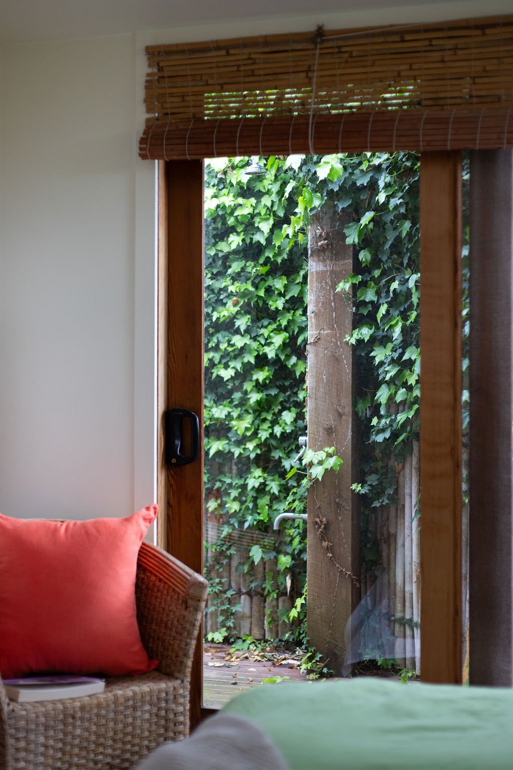 View through a wooden-framed glass door showing a garden with dense green ivy and a tree trunk outside.