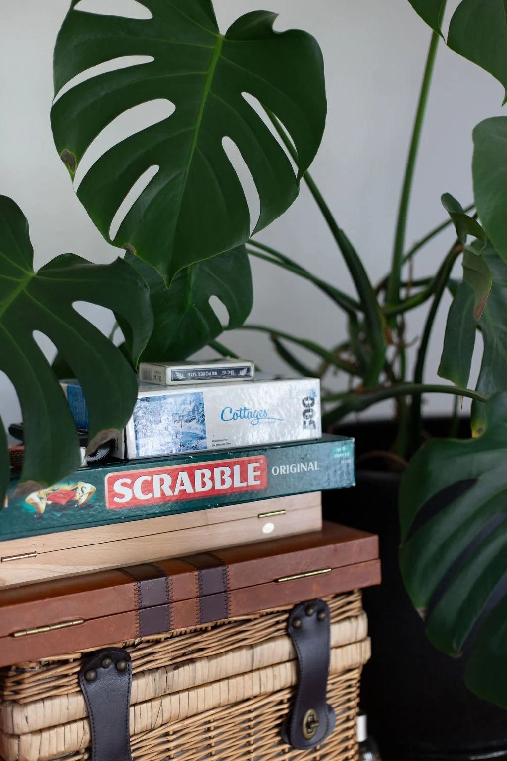A large green Monstera plant with split leaves, with some board games stacked beside it, including Scrabble and Cottages, atop a wooden and wicker storage box.