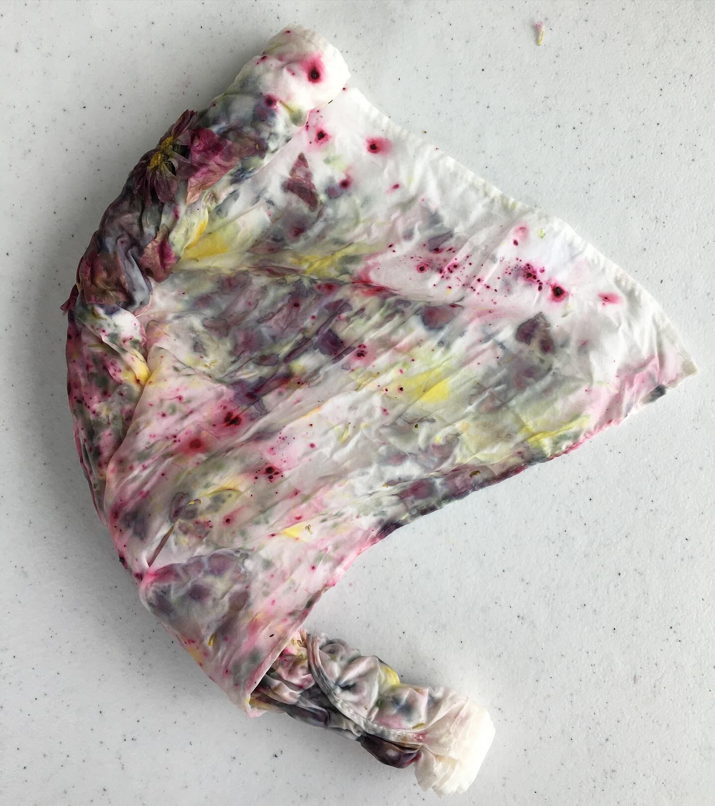 Sometimes the before wash pictures are the best!
I hope that the reels I have made have been helpful in showing the process of eco-printing. It&rsquo;s a long and tedious process and much of the time is spent working on flowers that may never leave t