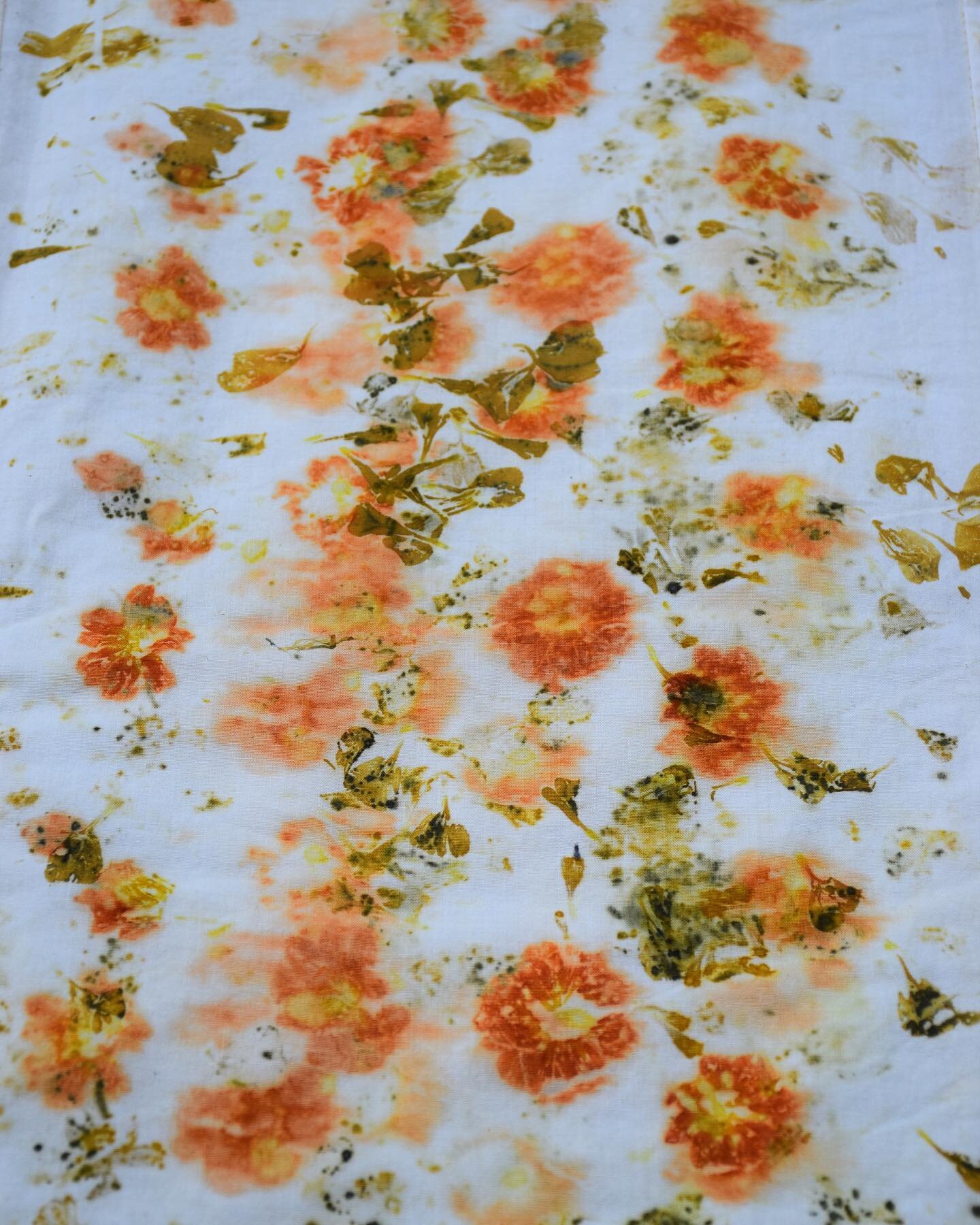 Detail of the eco-print quilt! Orange cosmos &amp; marigolds... it&rsquo;s amazing to see what flowers and plants can do! #fiberartistofinstagram #cosmosflower #marigoldflowers #quiltingfun