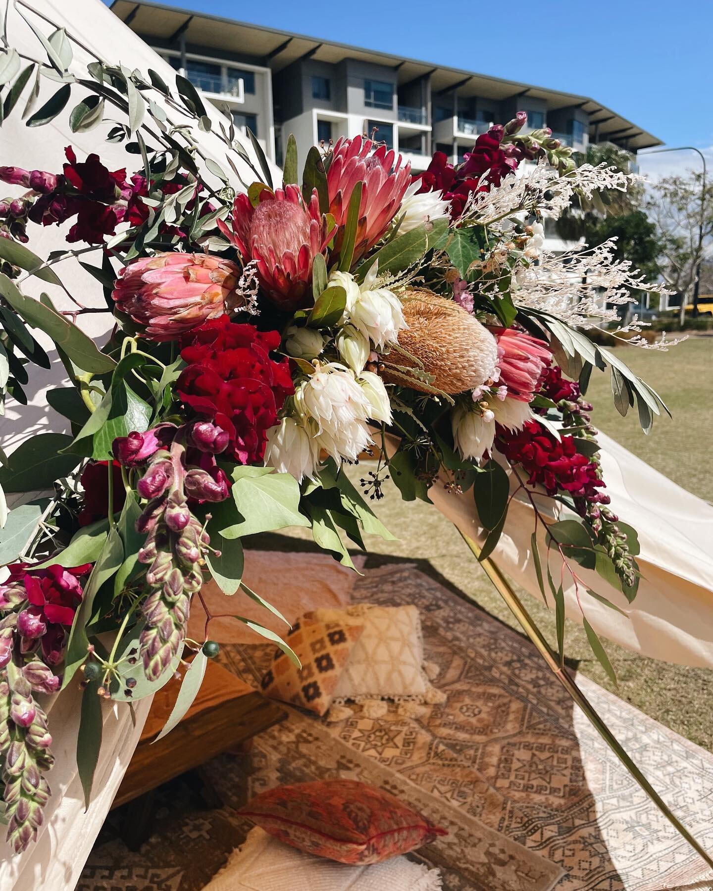 🍒on top

Native beauties were just one of the special touches for @aaliyah.maccabe 18th birthday celebration 💫 

#belltentparty #nativeflowerarrangement #nativeflowers #bohobirthday #bohobride #bohoparty #brisbaneboho #bohoevent #picnicparty #bellt