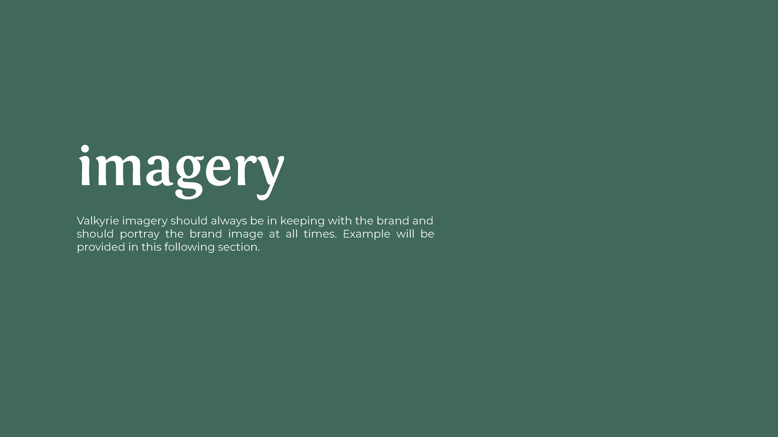Valkyrie_Style_Guide_Page_13.jpg