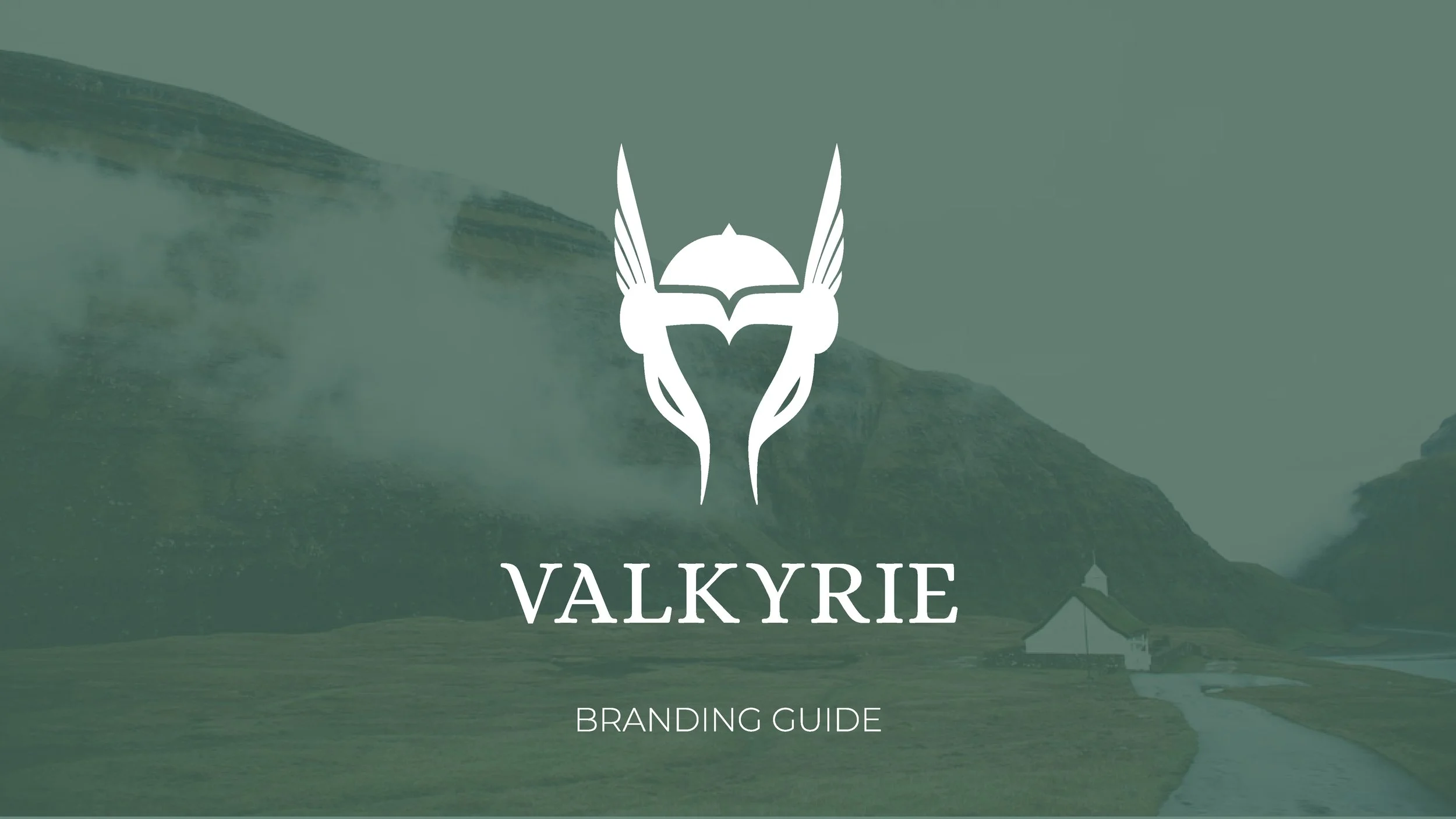 Valkyrie_Style_Guide_Page_01.jpg