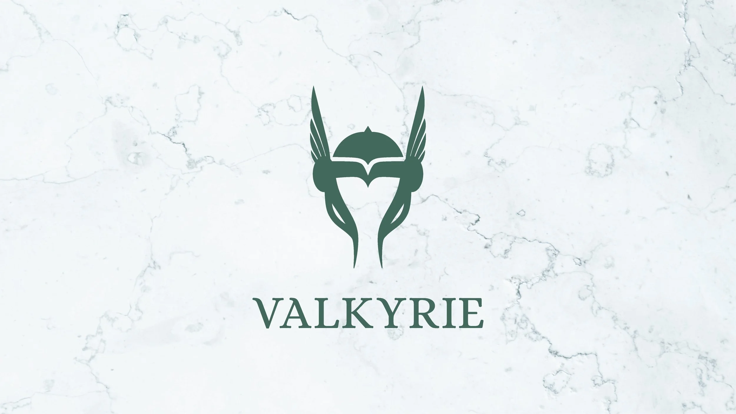 Valkyrie_Style_Guide_Page_16.jpg