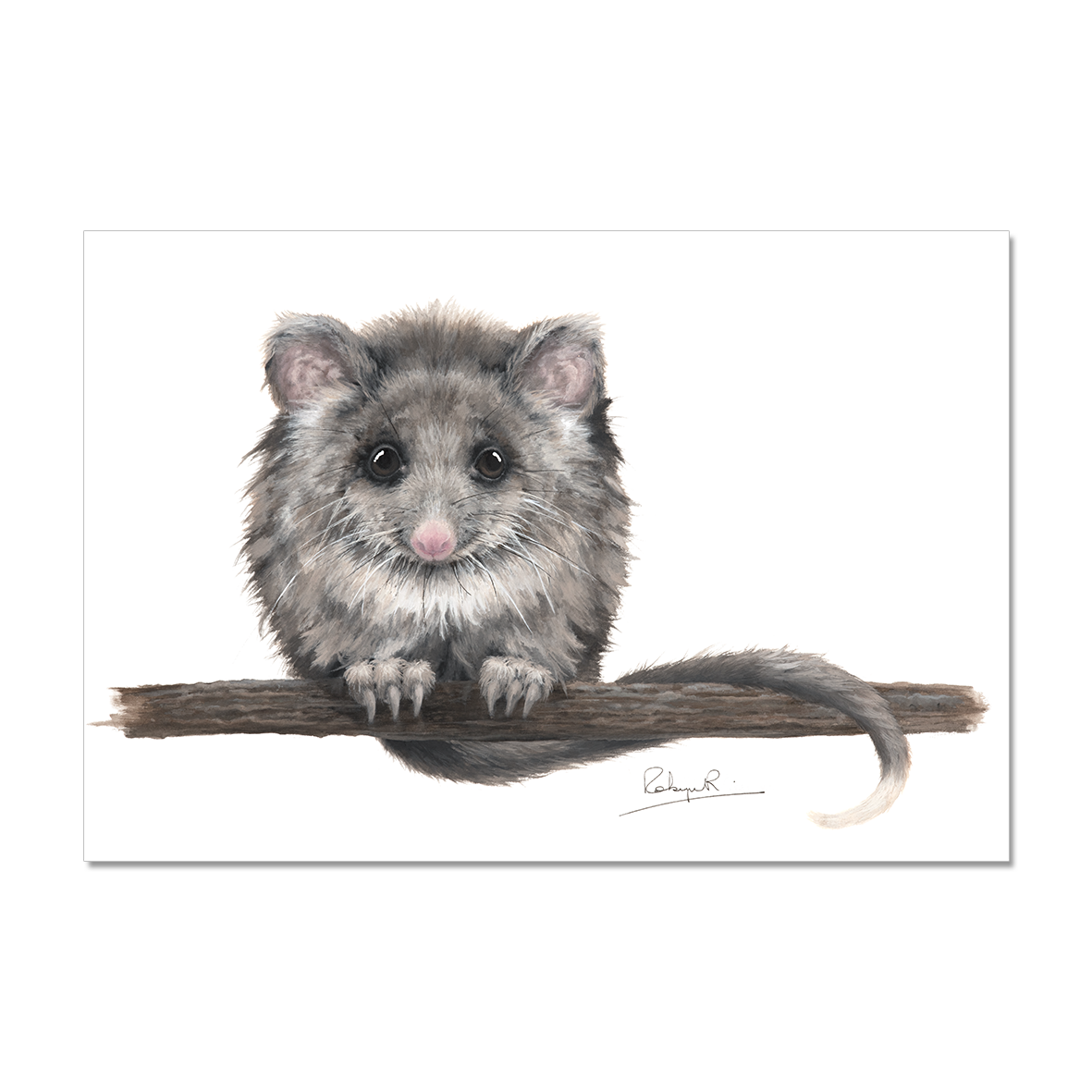 RR-Prints-Sitting Pretty.png