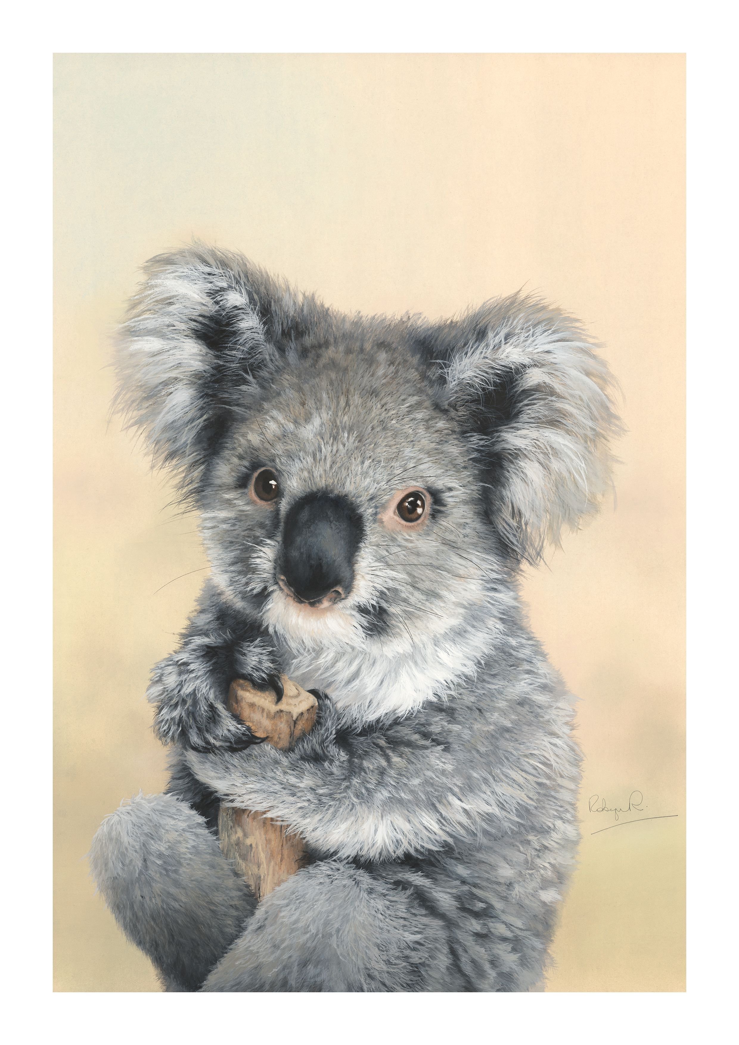 24 - HB Ruby koala.jpeg
