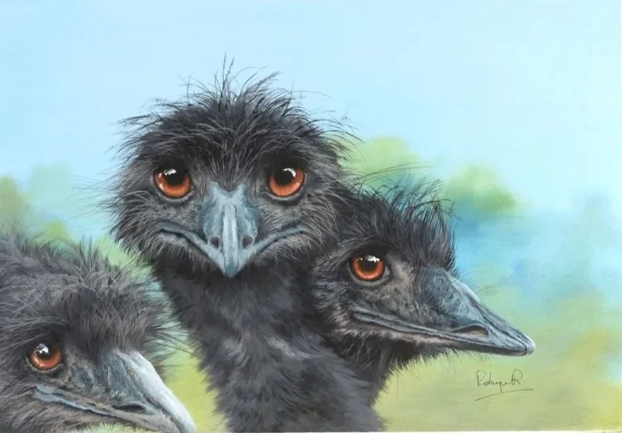 1+-HB+-+Birds+of+a+Feather.jpg