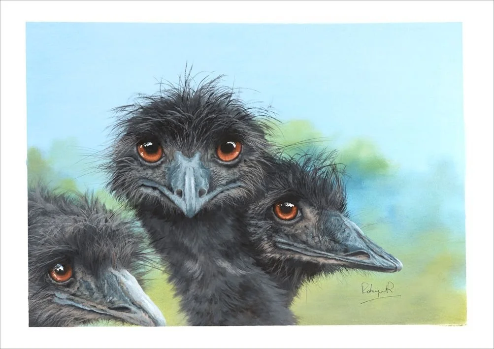 Birds of a Feather