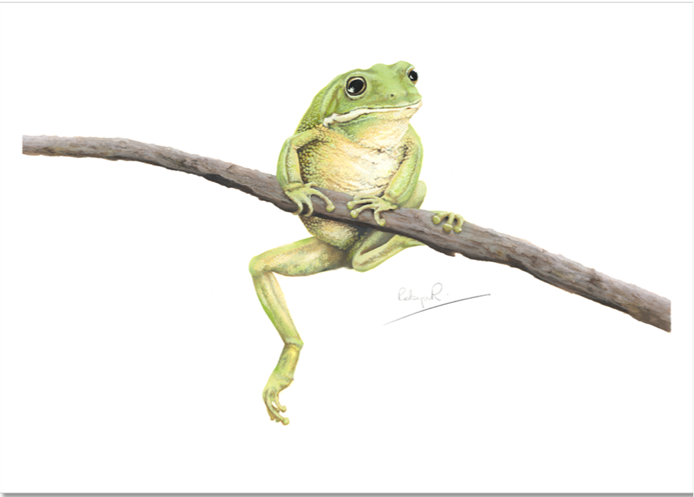 RR-Prints-Frank.png