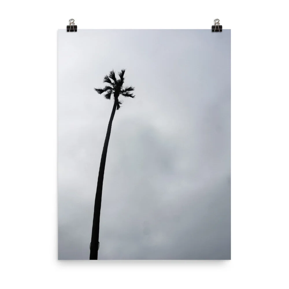 enhanced-matte-paper-poster-(in)-18x24-transparent-6126cc816ec08.jpg