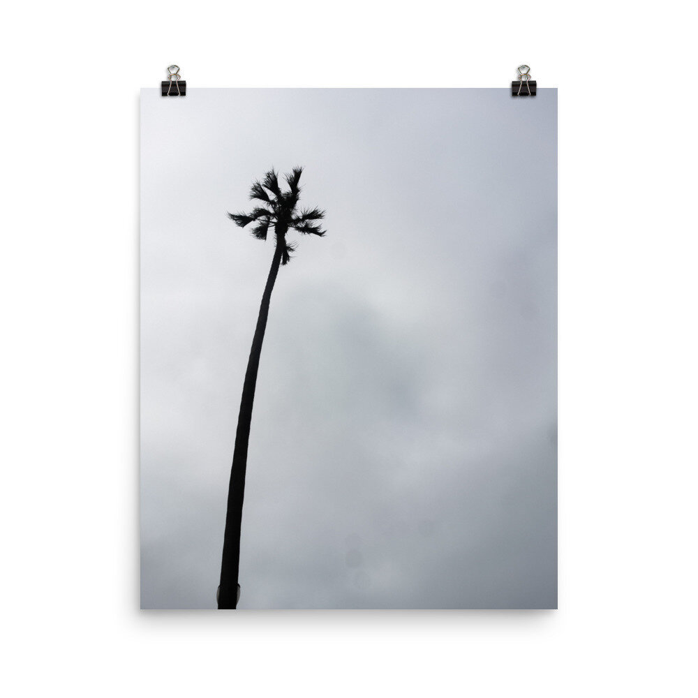 enhanced-matte-paper-poster-(in)-16x20-transparent-6126cc816f0d2.jpg