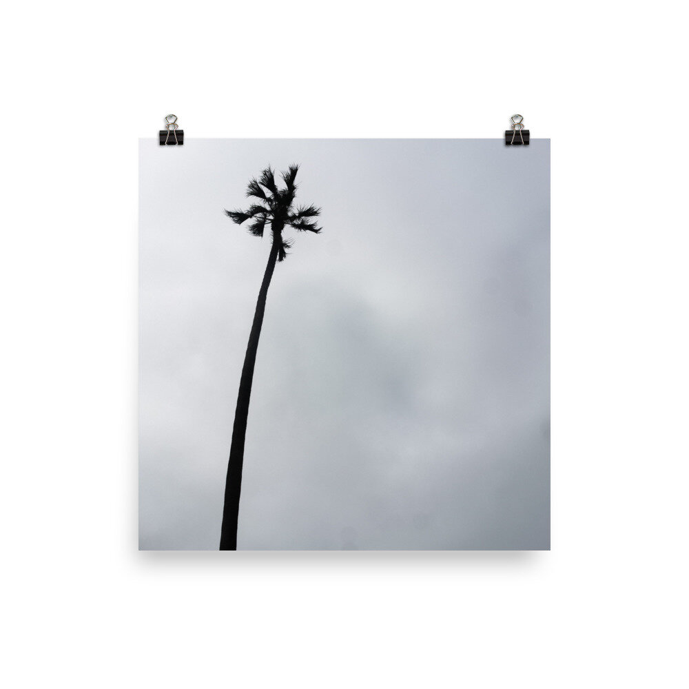 enhanced-matte-paper-poster-(in)-18x18-transparent-6126cc816f18a.jpg