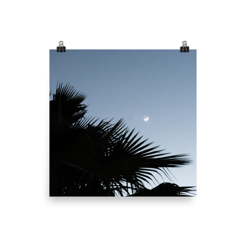 enhanced-matte-paper-poster-(in)-12x12-transparent-612736d72c211.jpg