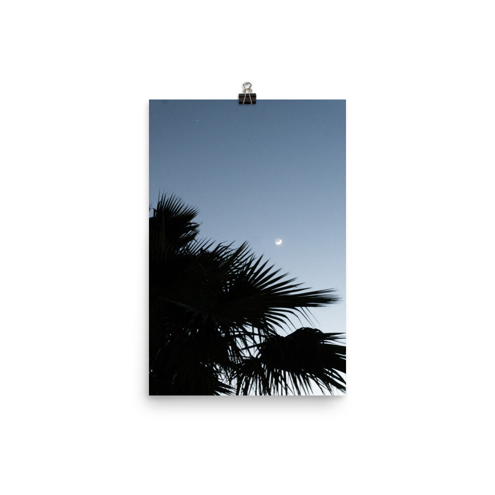 enhanced-matte-paper-poster-(in)-12x18-transparent-612736d72c3d8.jpg