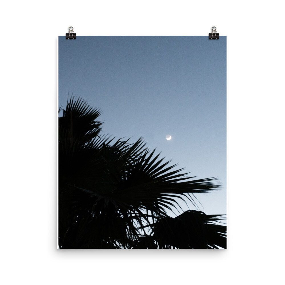 enhanced-matte-paper-poster-(in)-16x20-transparent-612736d72c66e.jpg