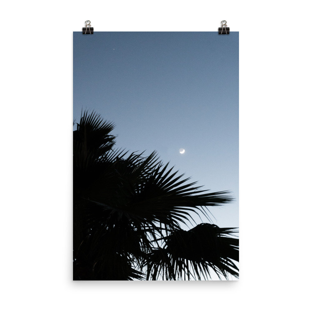 enhanced-matte-paper-poster-(in)-24x36-transparent-612736d72c7dc.jpg