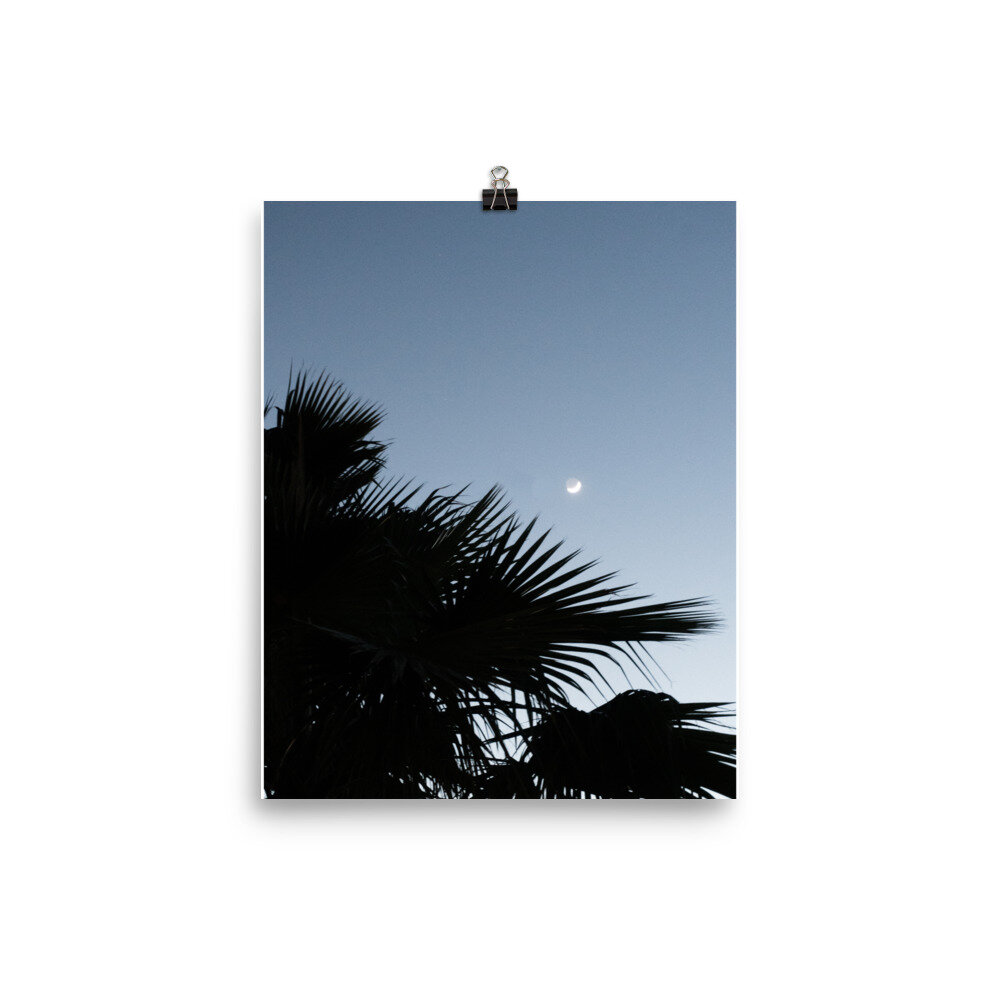 enhanced-matte-paper-poster-(in)-8x10-transparent-612736d72c8c9.jpg