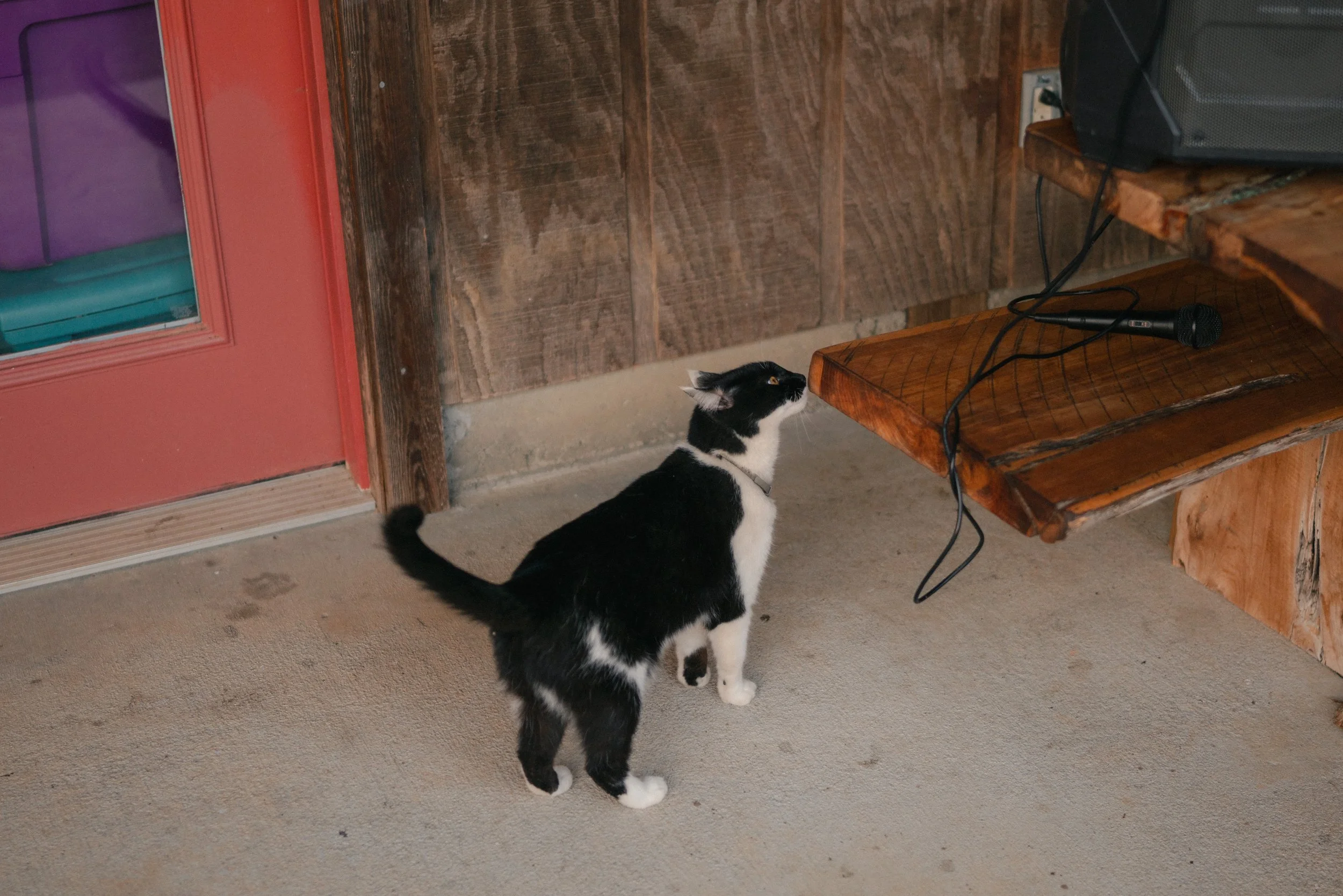 DSC04892.jpg