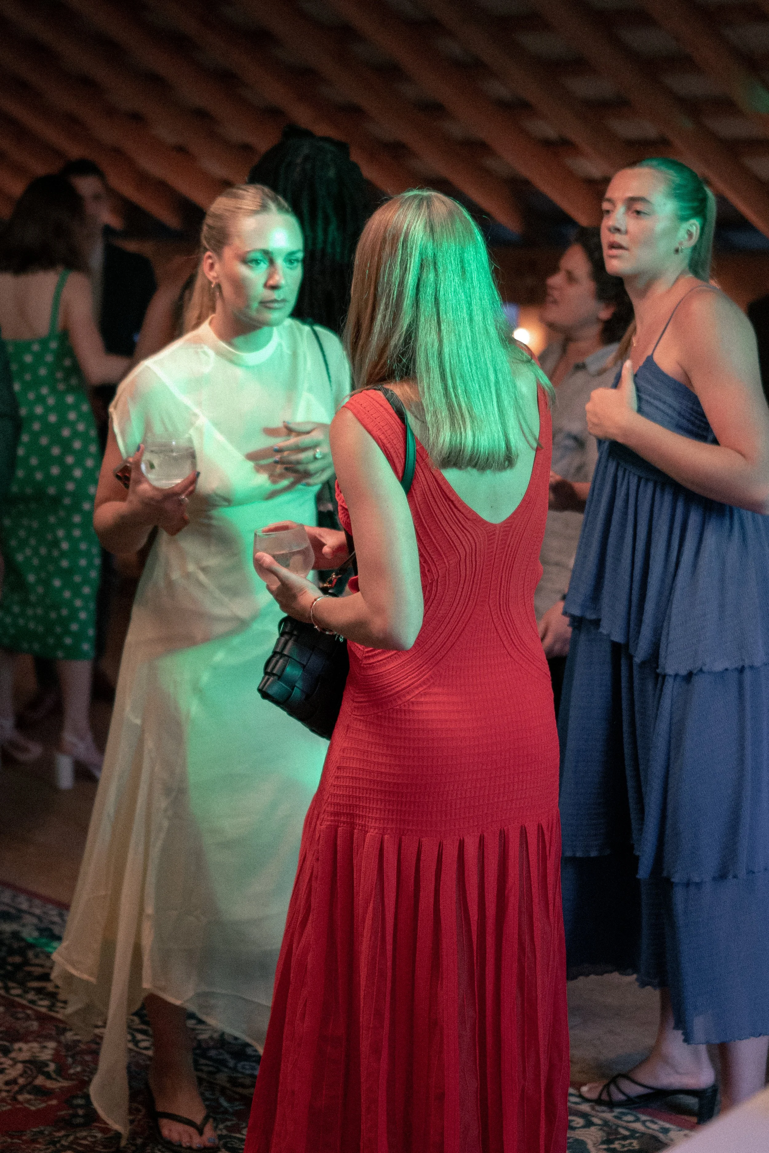 Several women engaged in conversation at an indoor social gathering, with some holding drinks.