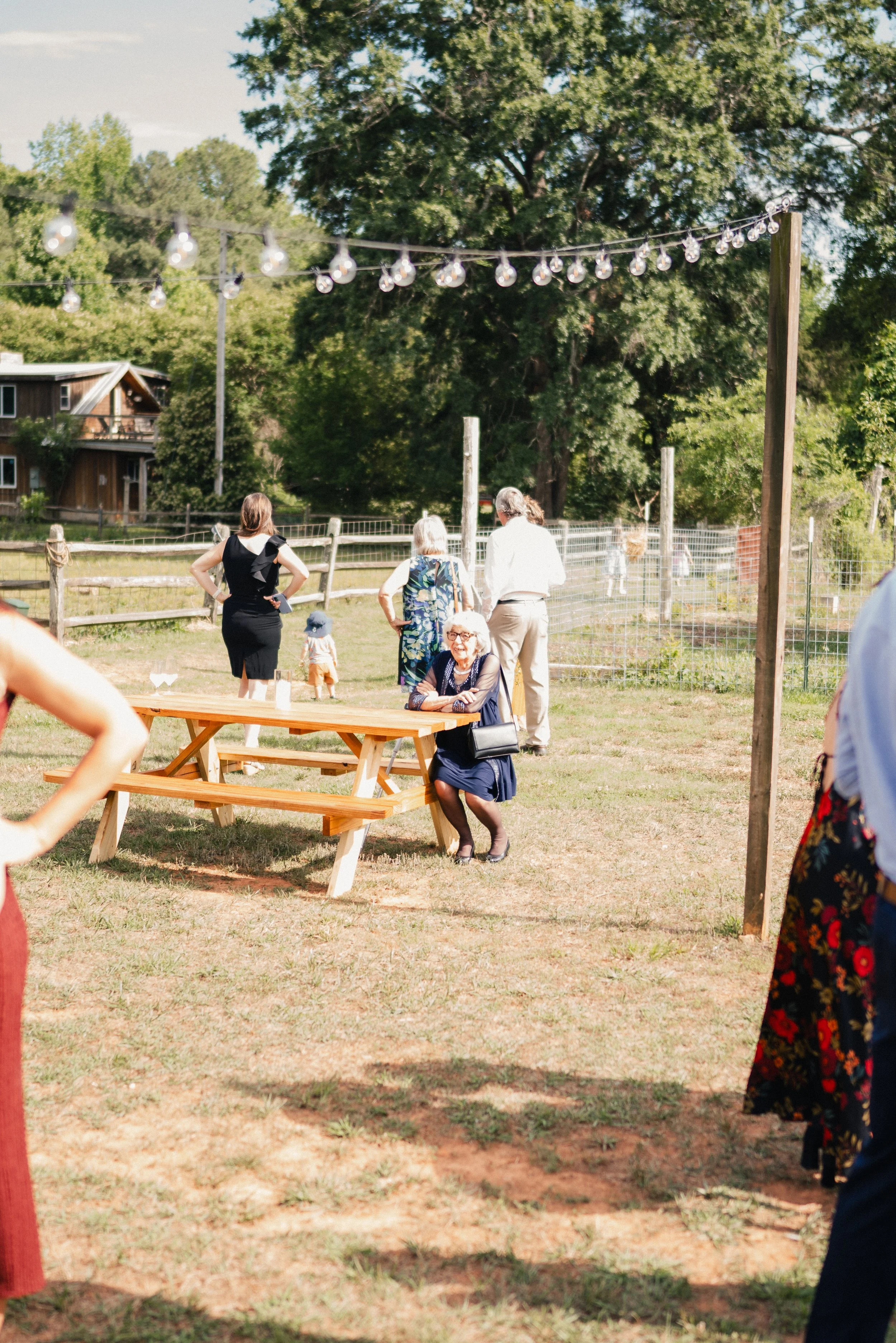 People gathered outdoors on a sunny day, some near a wooden picnic table, with string lights hanging overhead, a wooden fence, trees, and a small building in the background.