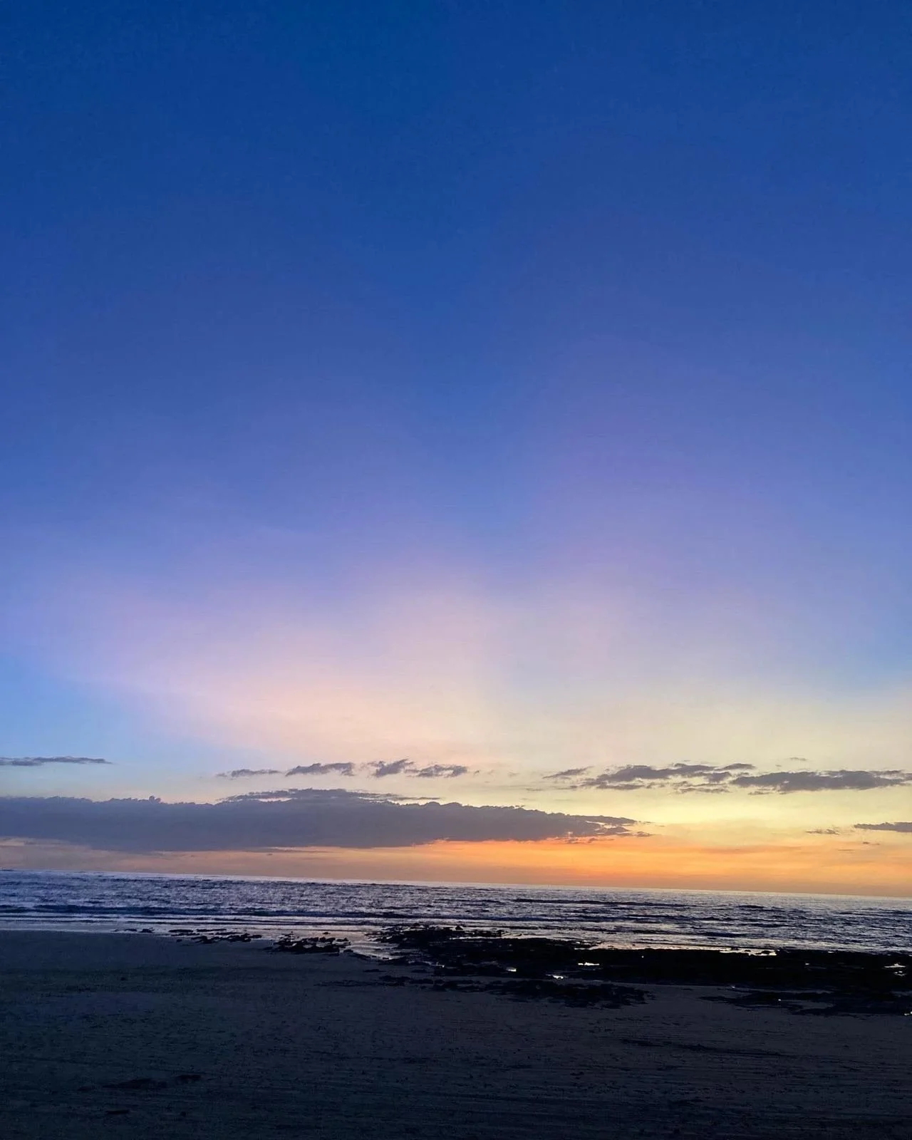 PHOTO-2022-04-11-20-02-48 2.JPG