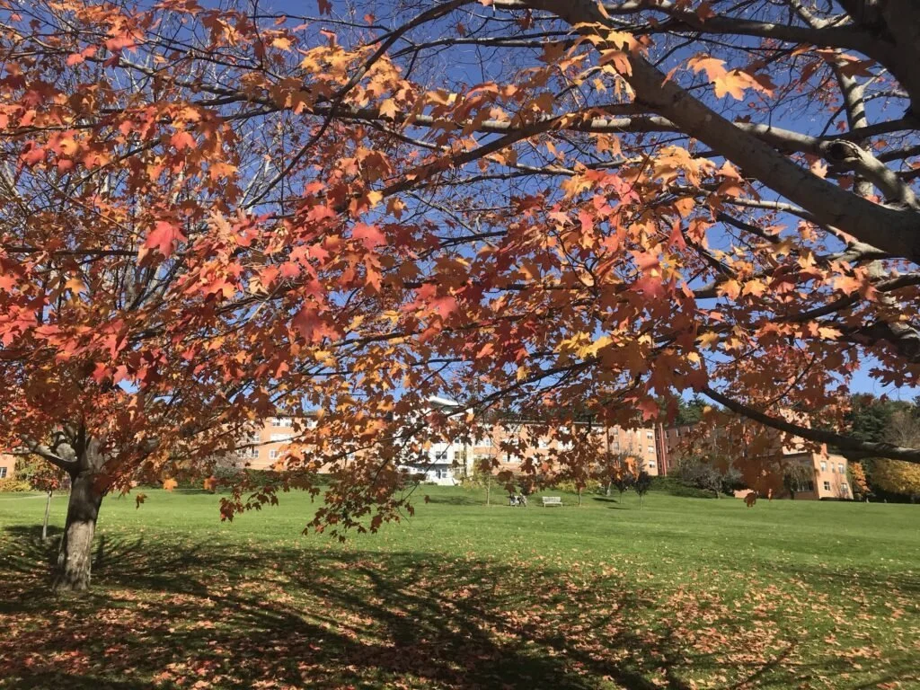 fall-foliage-at-kripalu41cf76-1024x768.jpeg