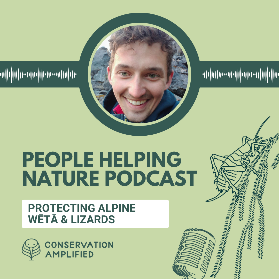Protecting Alpine Wētā &amp; Lizards (EP33 with Samuel Purdie, Southern Lakes Sanctuary)