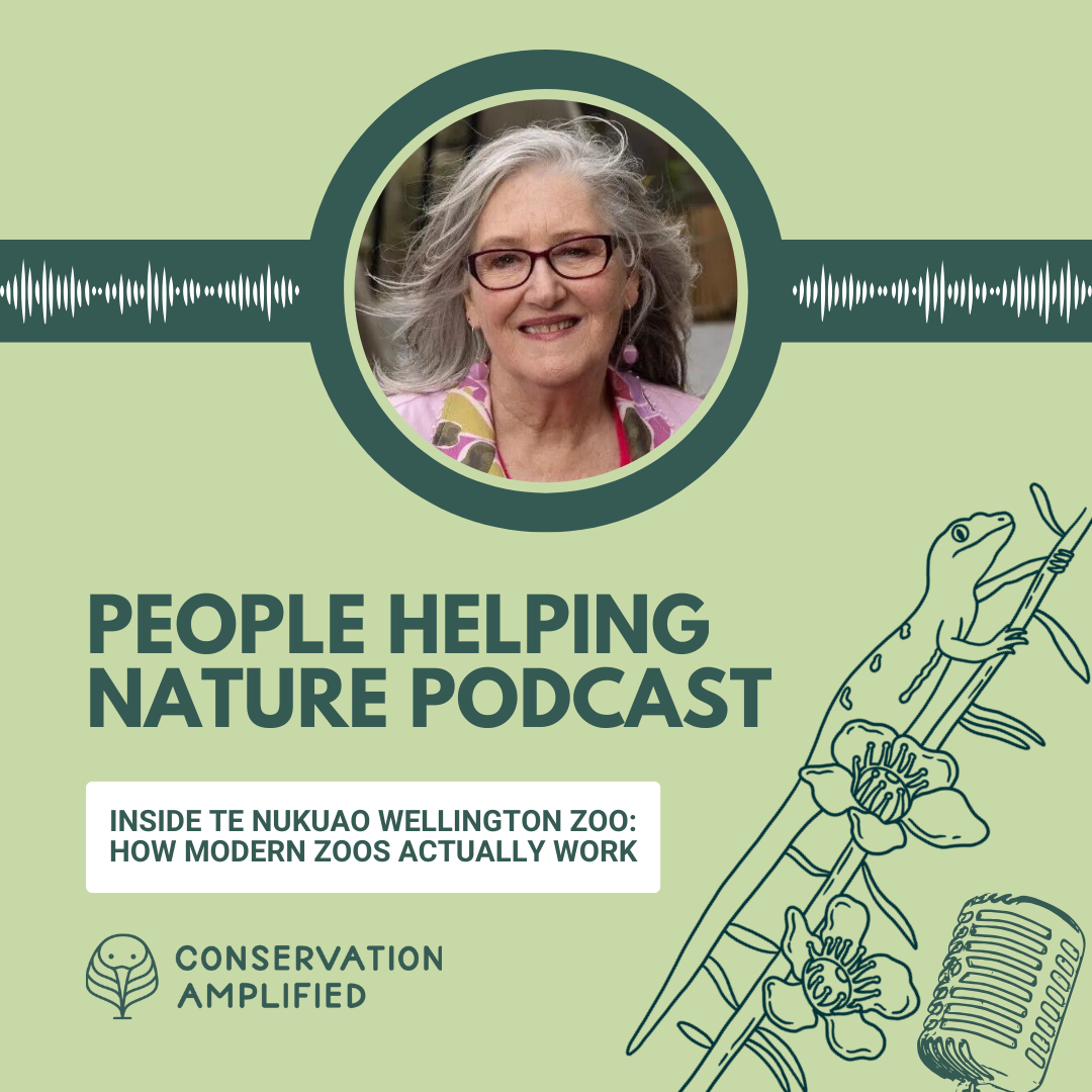 Inside Te Nukuao Wellington Zoo: How Modern Zoos Actually Work (EP34 with Karen Fifield)