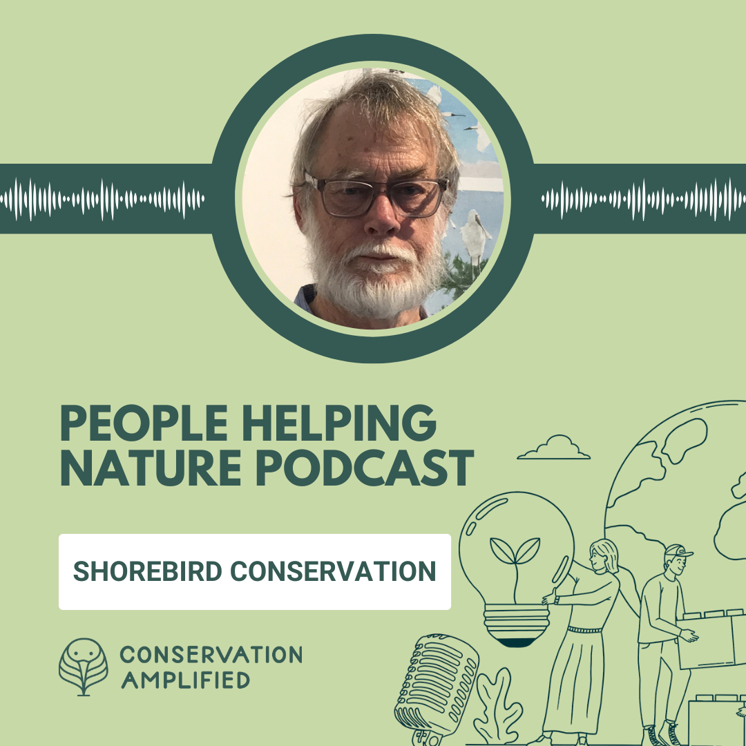 Shorebird Conservation: Connecting Habitats, Countries &amp; People (EP35 with Keith Woodley)