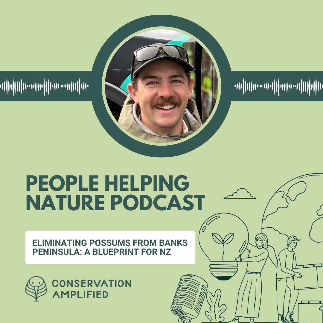 Eliminating Possums From Banks Peninsula: A Blueprint For NZ (with Ollie Rutland-Sims, Pest Free Banks Peninsula)