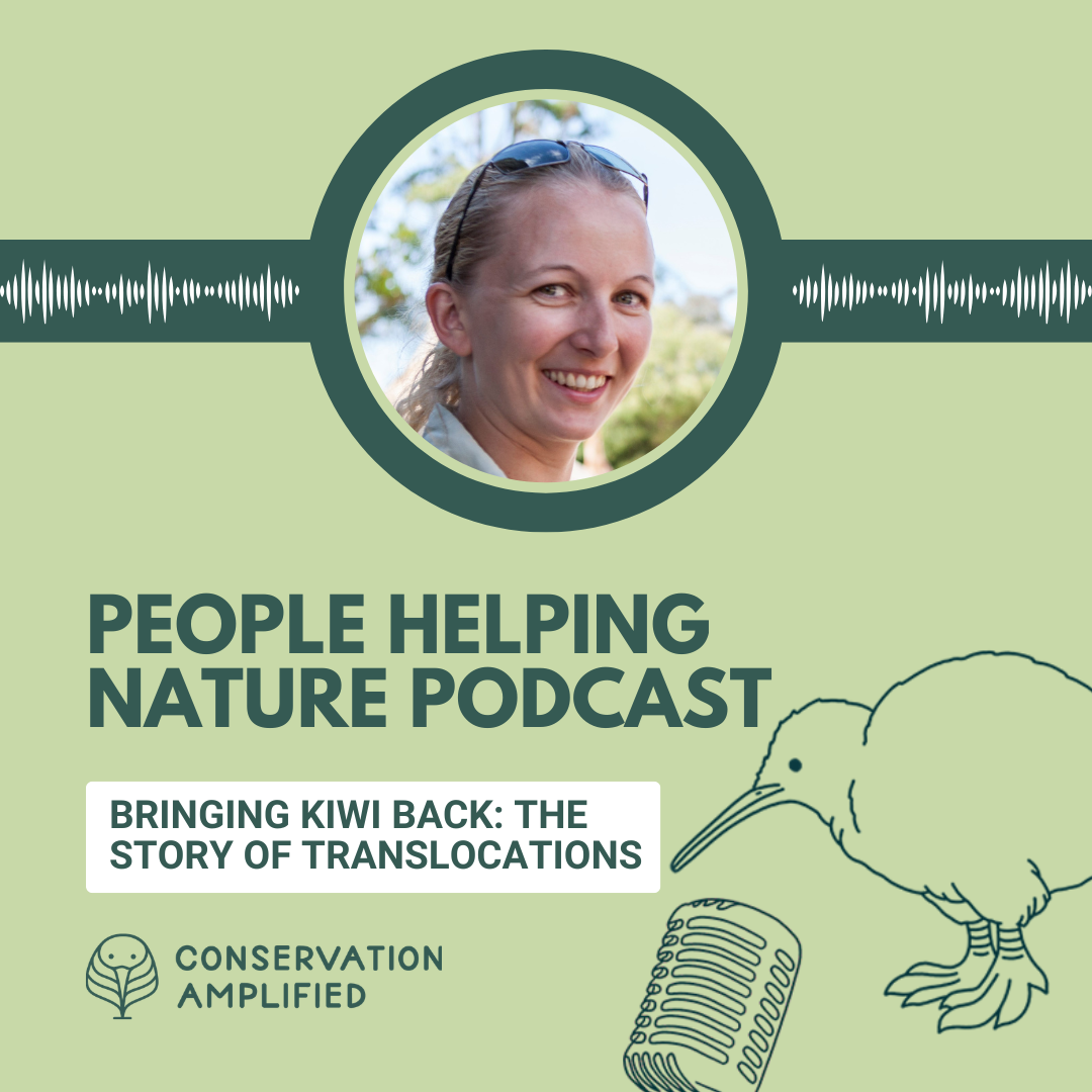 Bringing Kiwi Back: The Story of Translocations (with Tineke Joustra, Save the Kiwi)