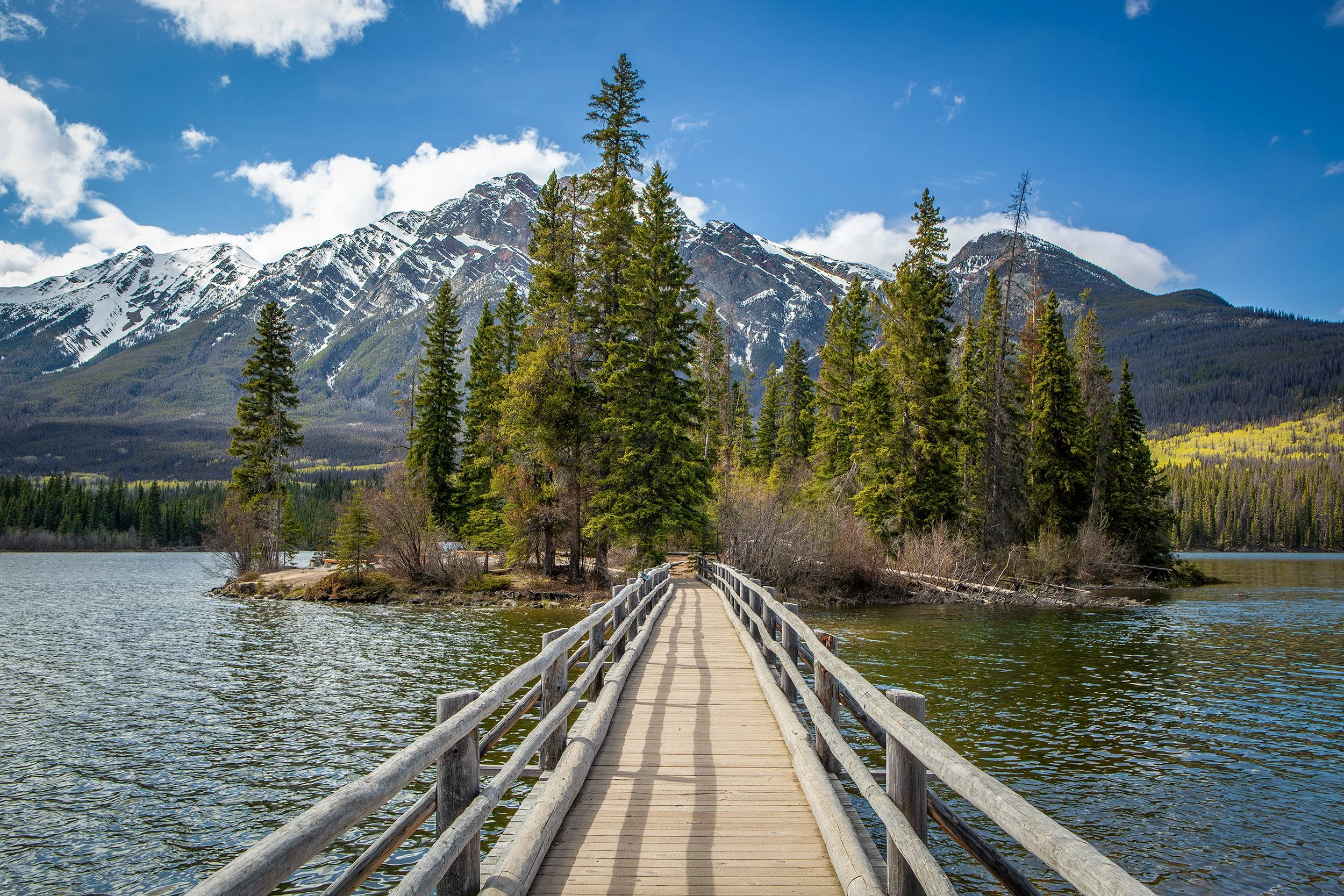 The Wooden Boardwalk Axis - Jasper, Alberta