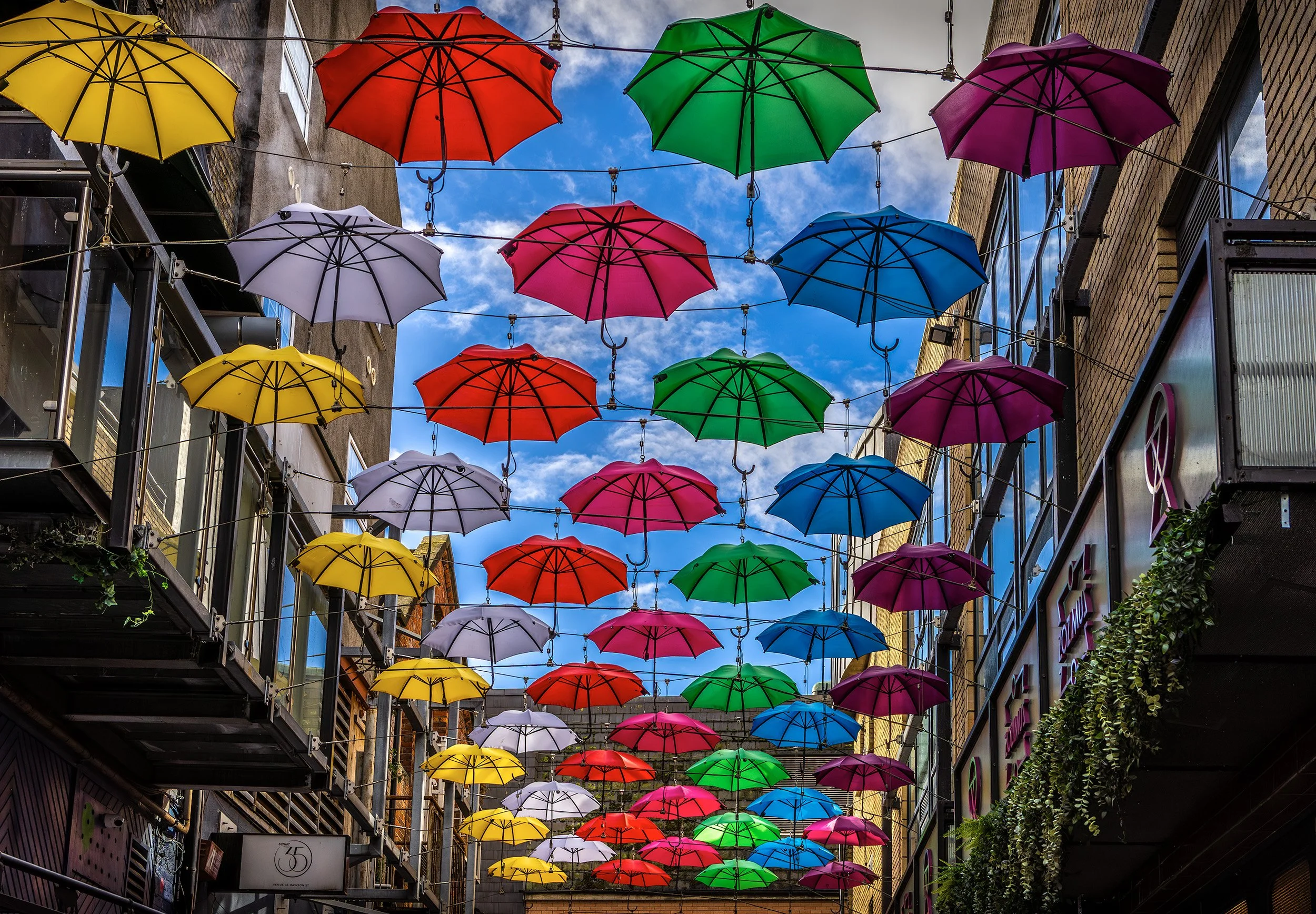Urban Playfulness38x42max-web.jpg