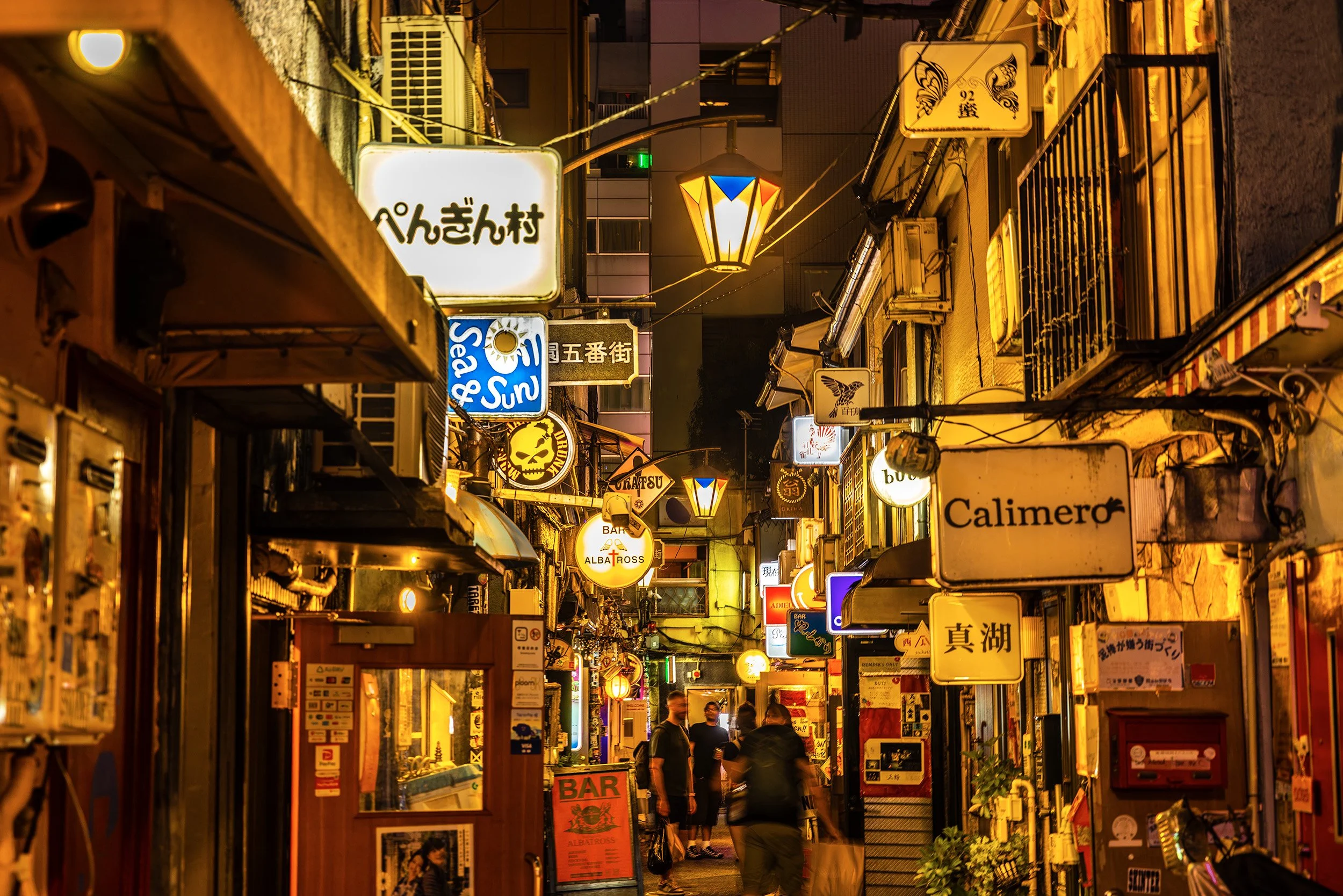 Neon Labyrinth - Tokyo, Japan