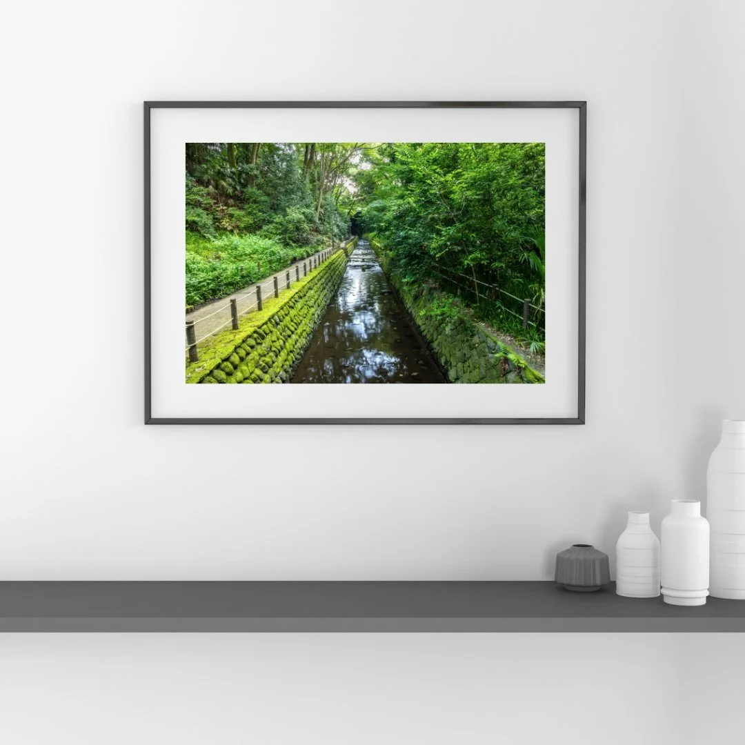 Fern-Lined-Canyon-WallsThumbnail-3.jpg