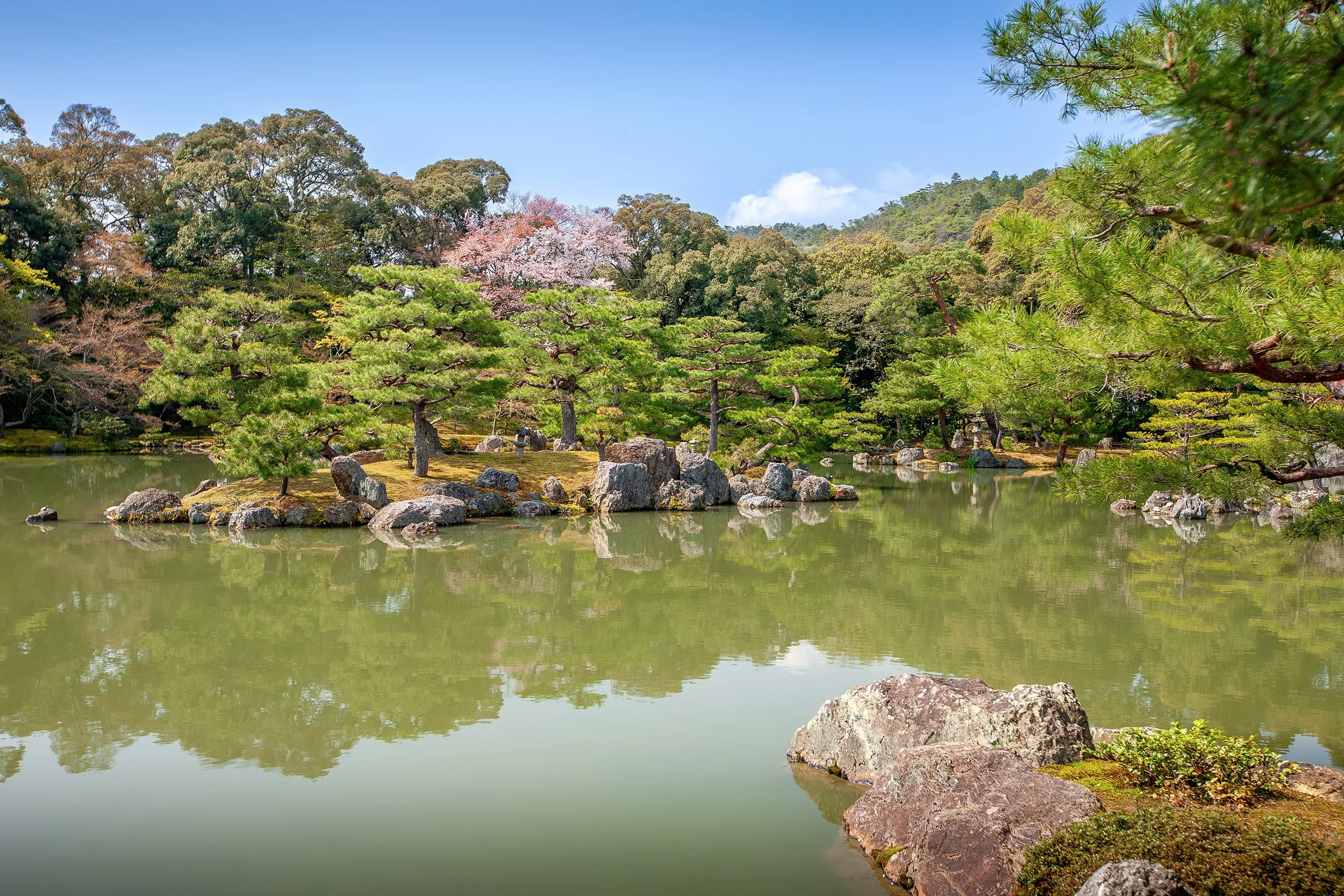 Traditional Elegance - Kyoto, Japan