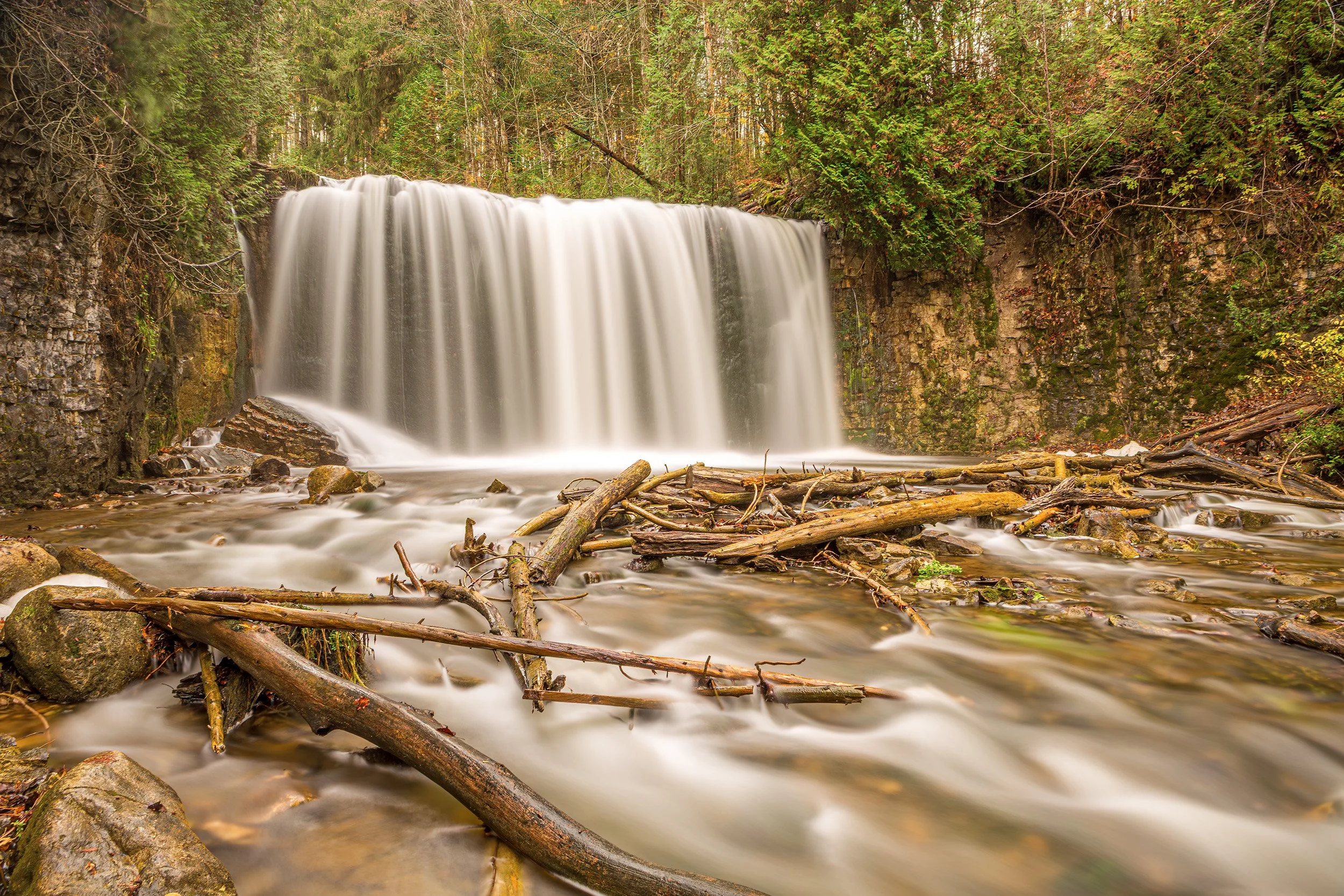 Autumn Gold and Soft Water - Owen Sound, Ontario