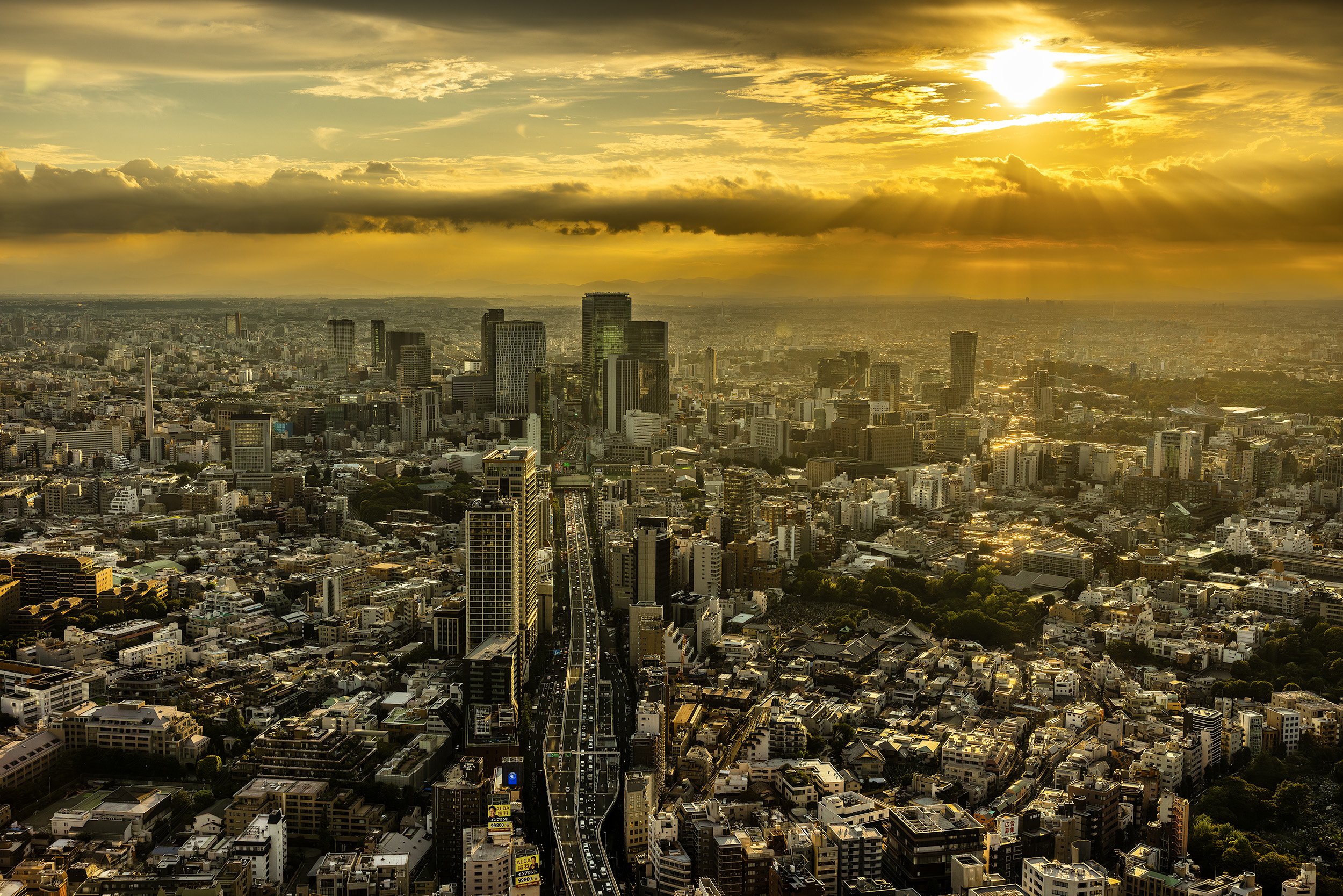 The Liquid Gold Megacity - Tokyo, Japan