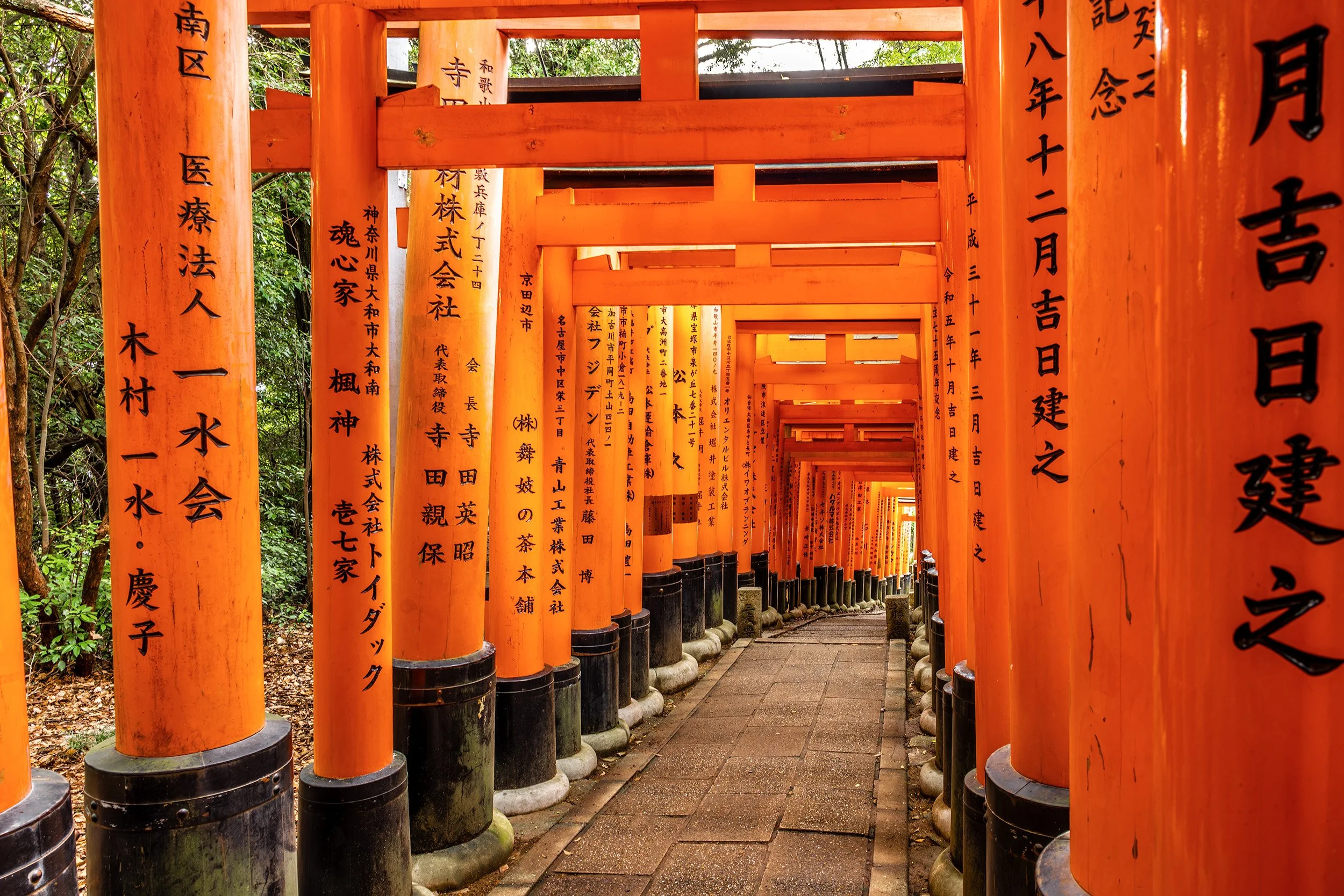 Kyoto’s Iconic Corridor - Kyoto, Japan